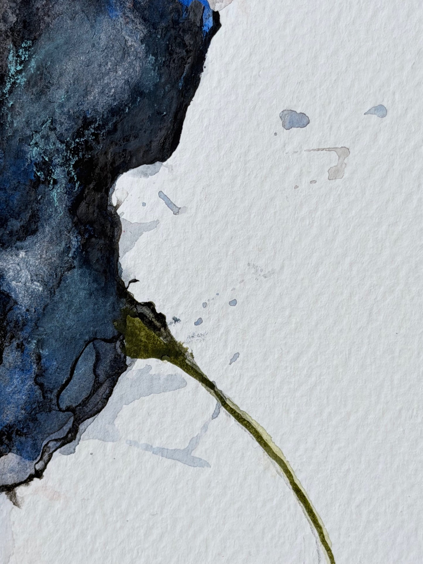 The Language of Flowers: Observation 15