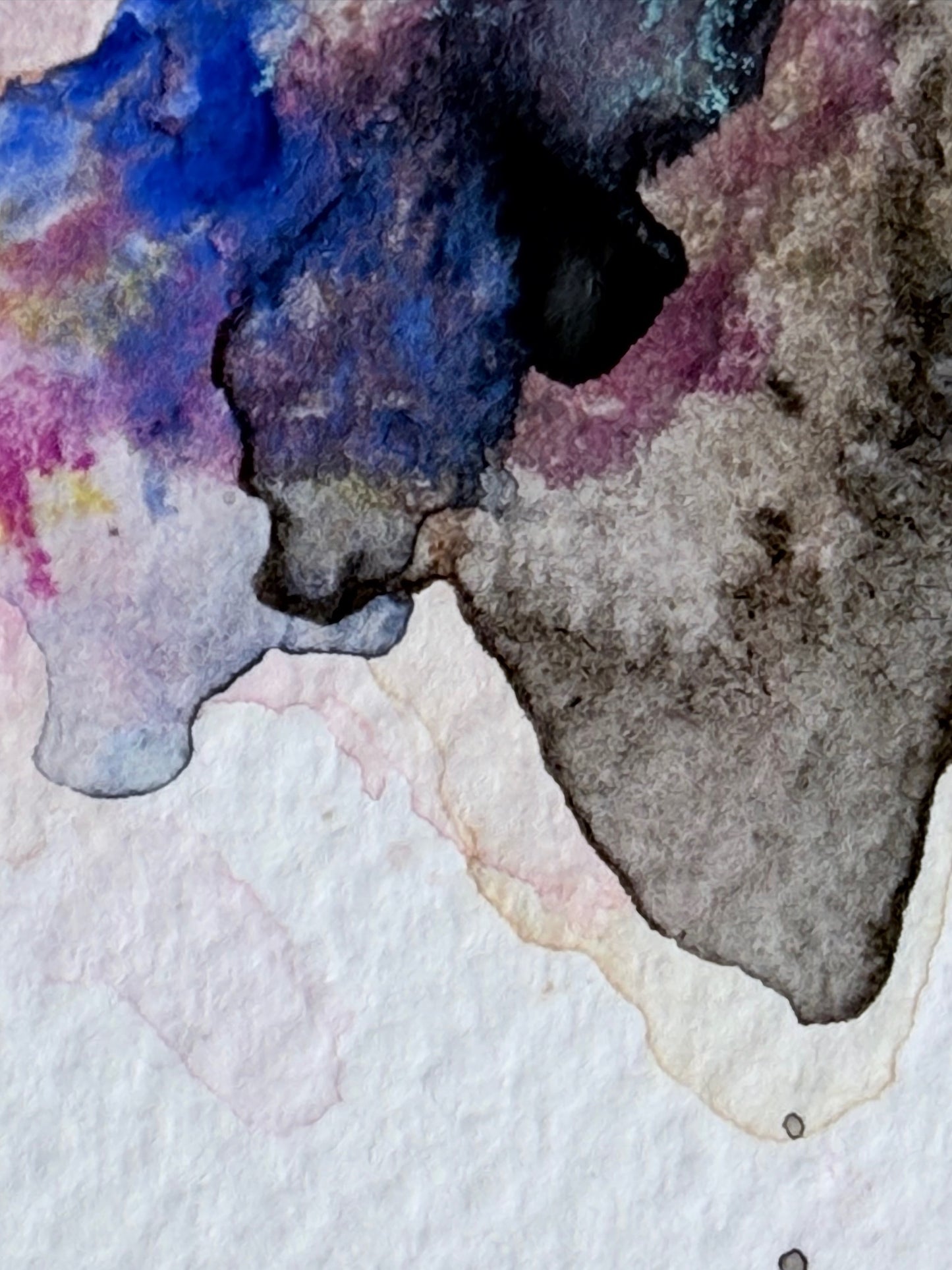 The Language of Flowers: Observation 16
