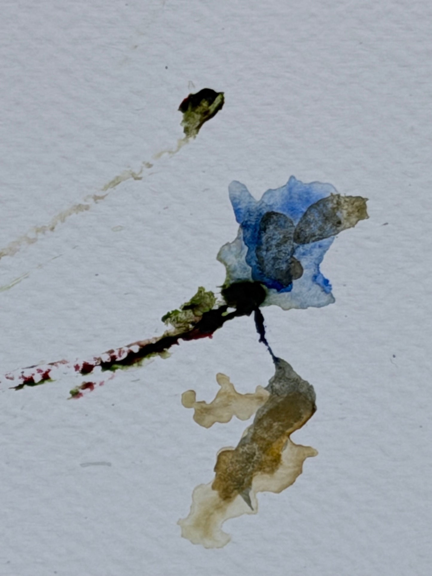 The Language of Flowers: Observation 1