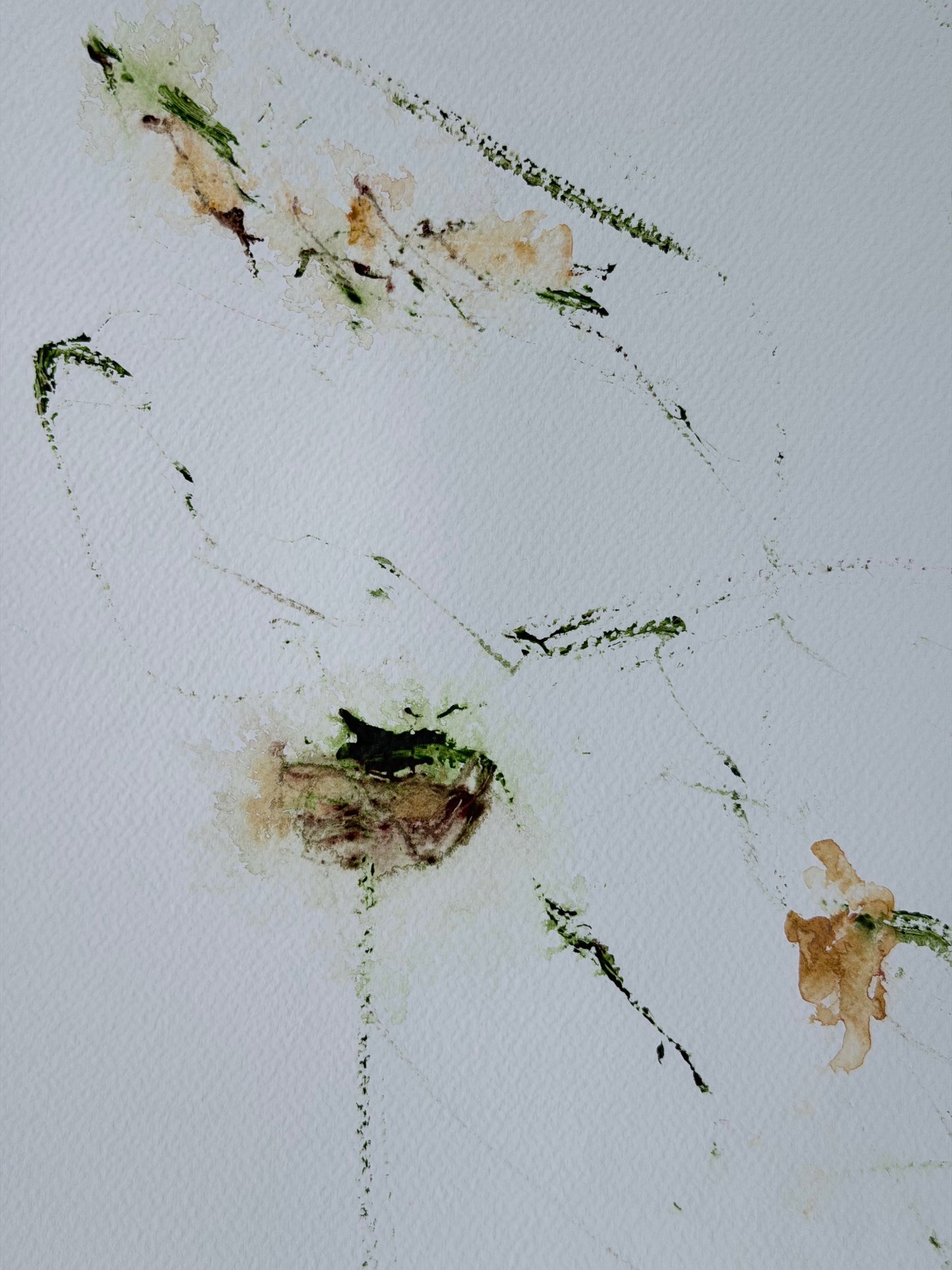 The Language of Flowers: Observation 2