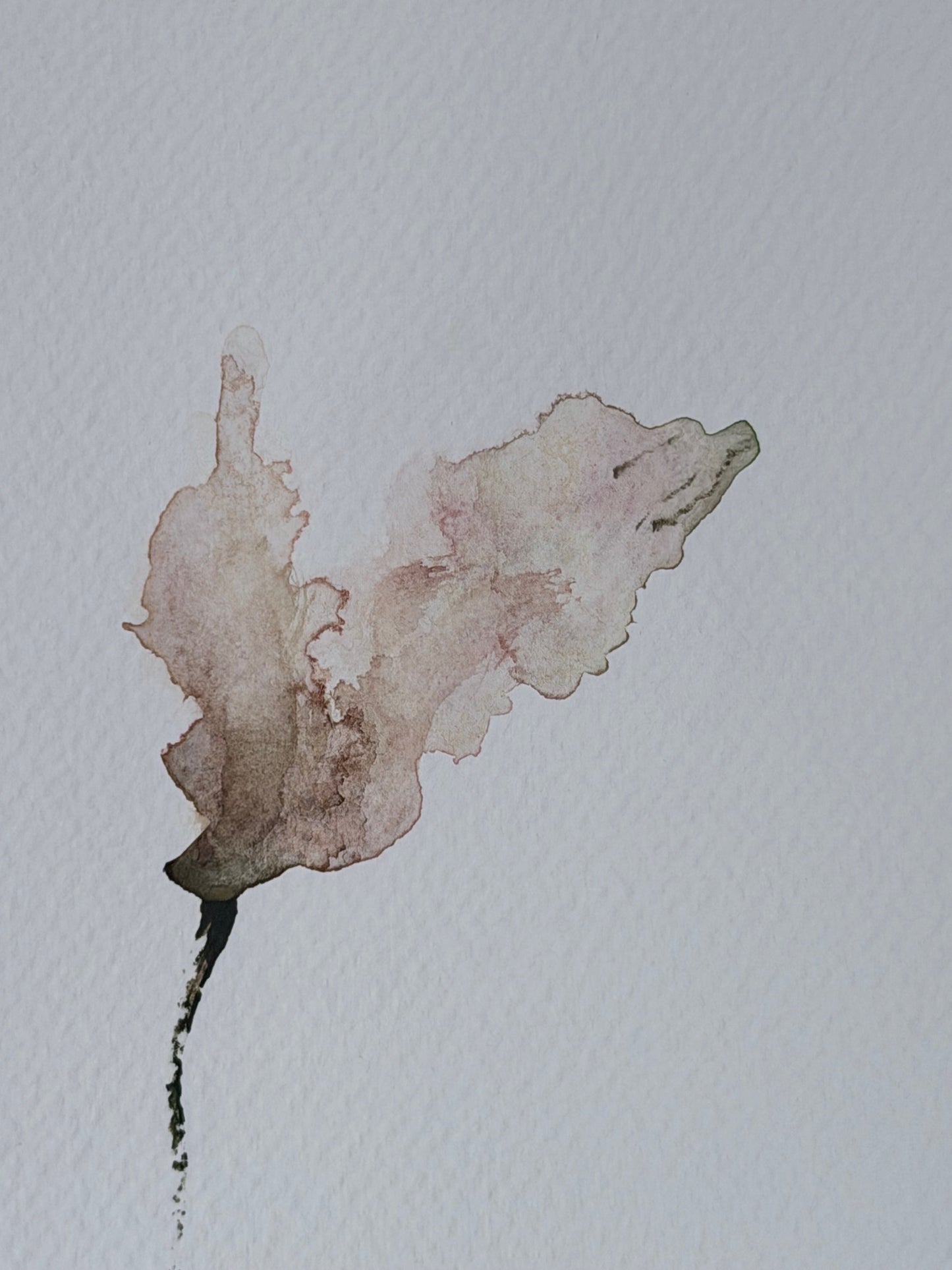 The Language of Flowers: Observation 6