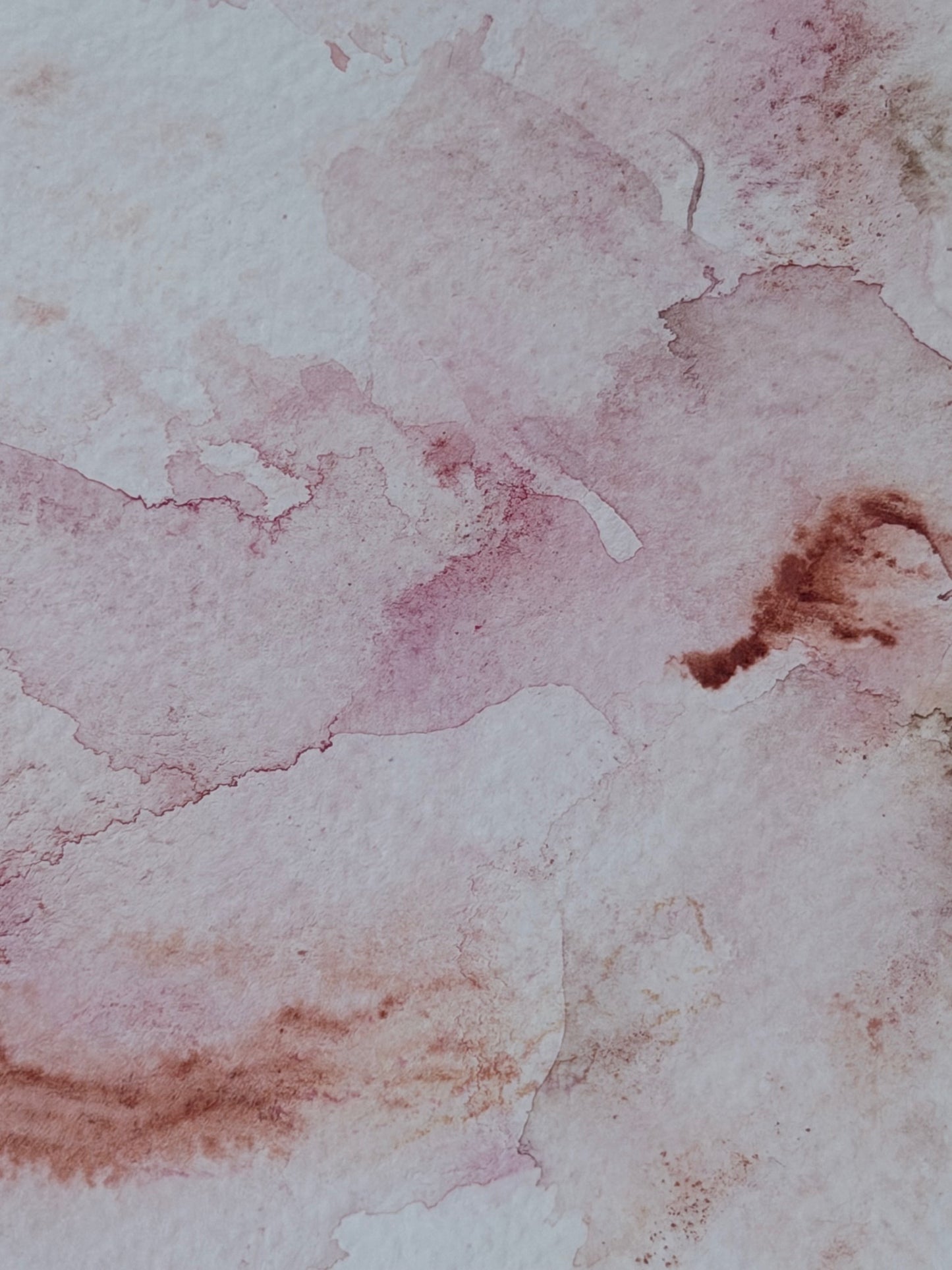 The Language of Flowers: Observation 14