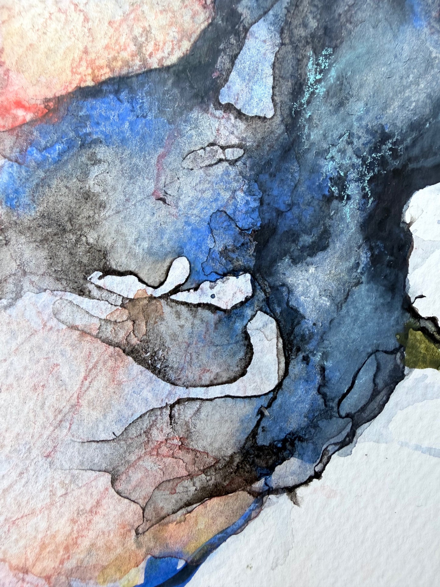 The Language of Flowers: Observation 15