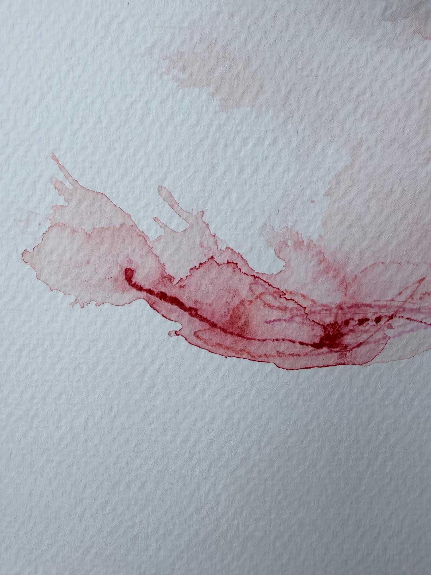 The Language of Flowers: Observation 15