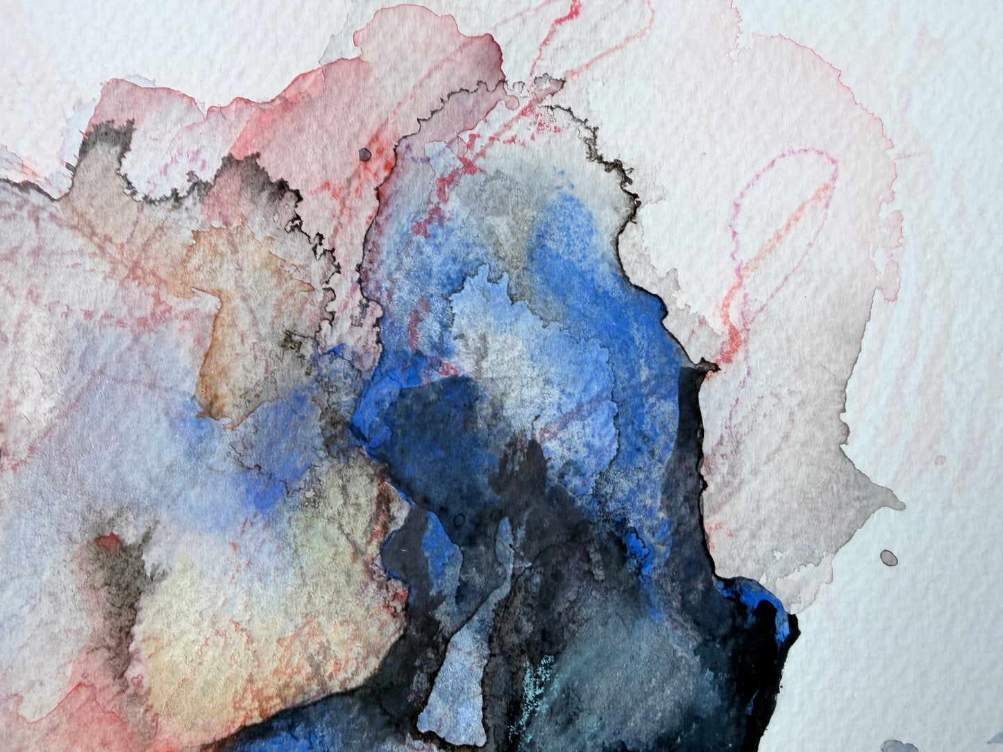 The Language of Flowers: Observation 15