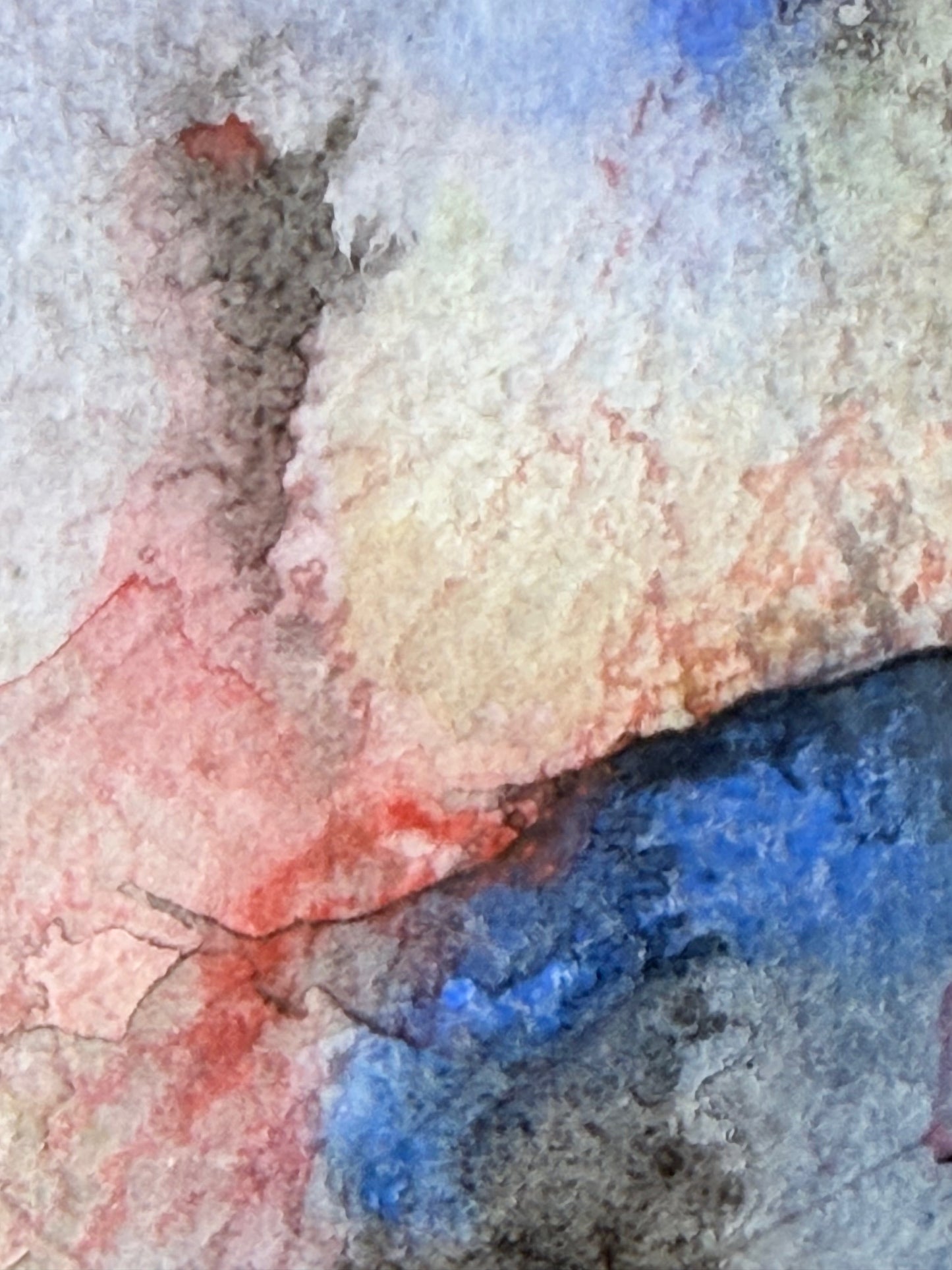The Language of Flowers: Observation 15