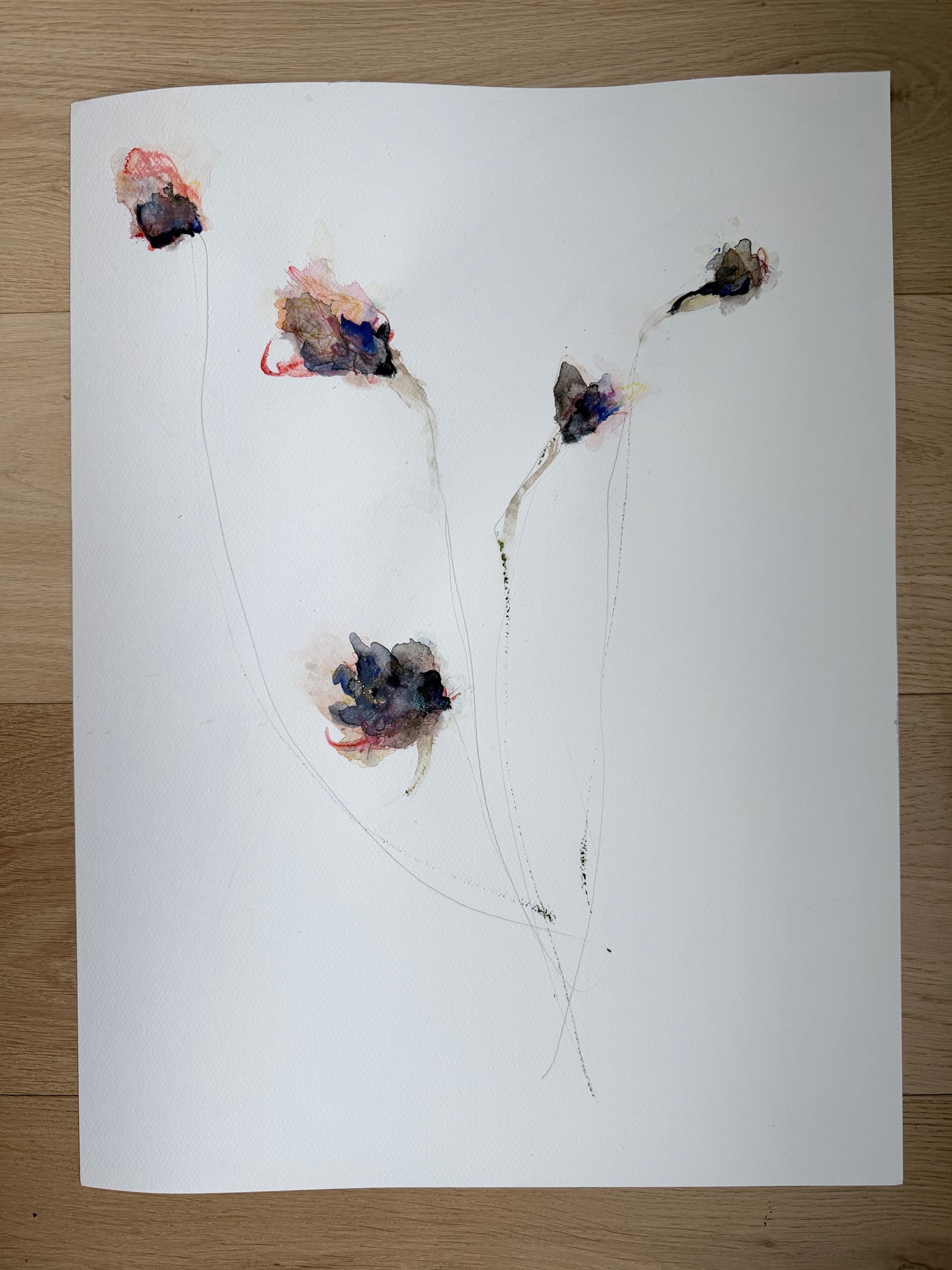 The Language of Flowers: Observation 16