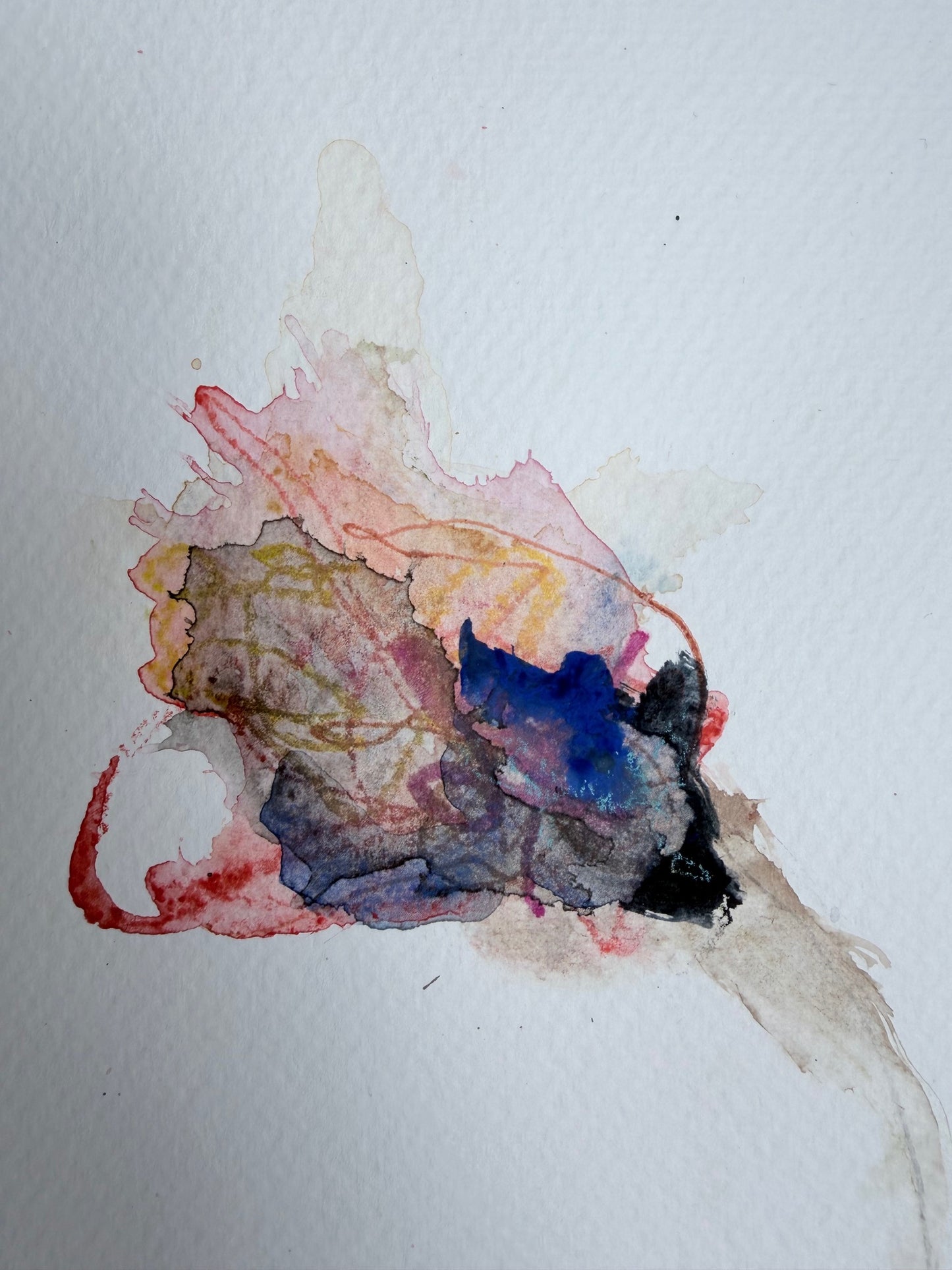 The Language of Flowers: Observation 16