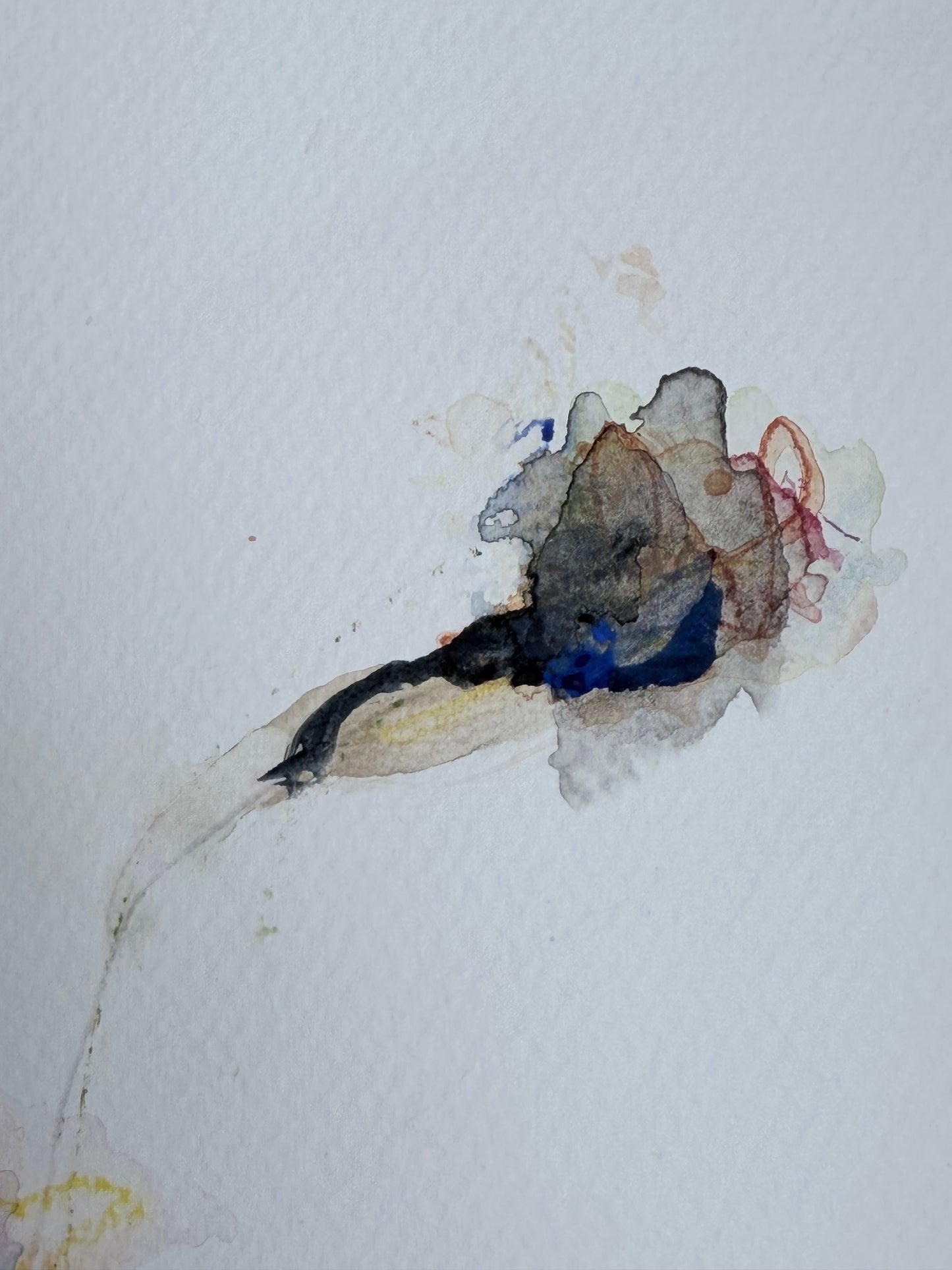The Language of Flowers: Observation 16