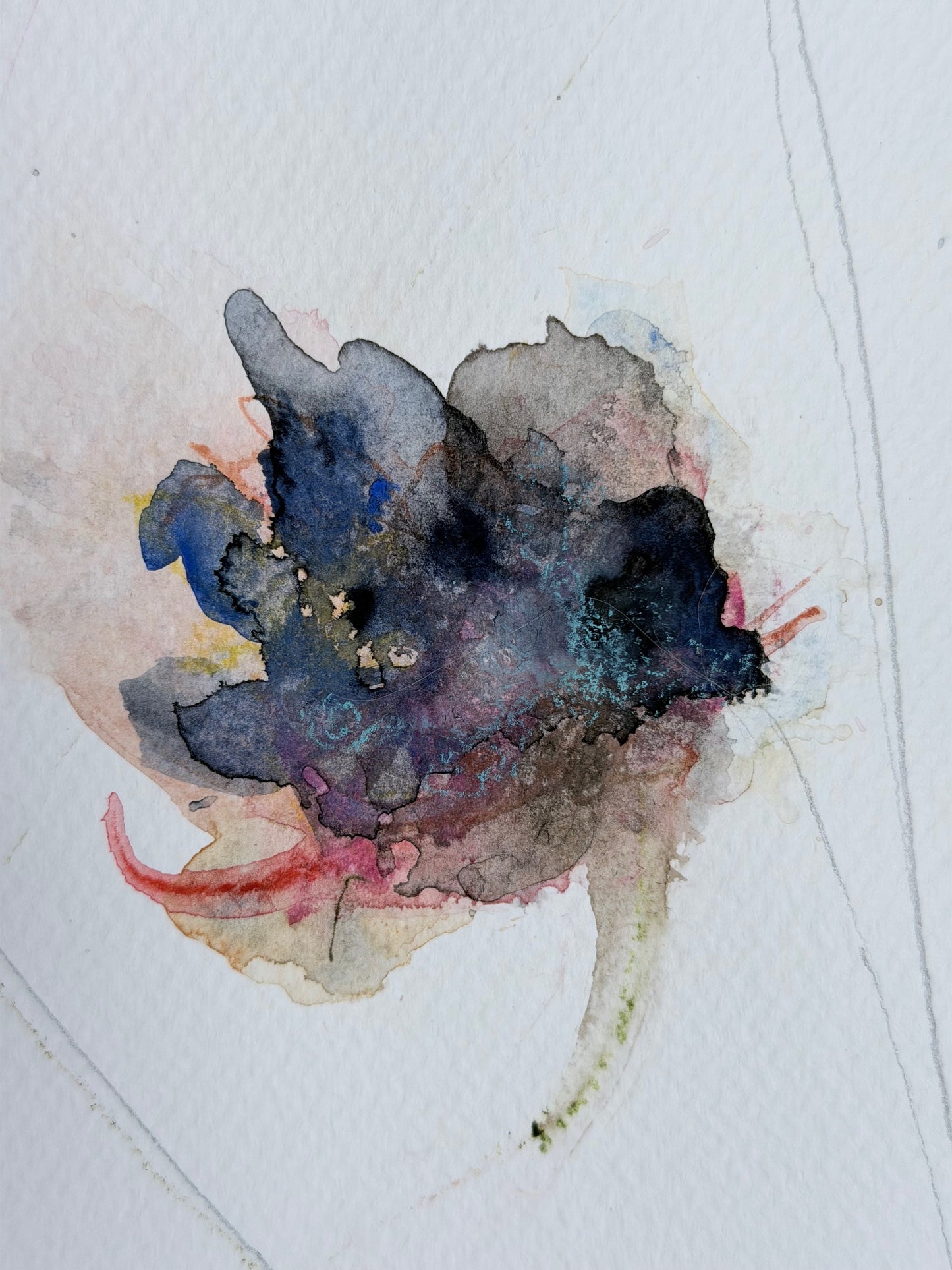 The Language of Flowers: Observation 16