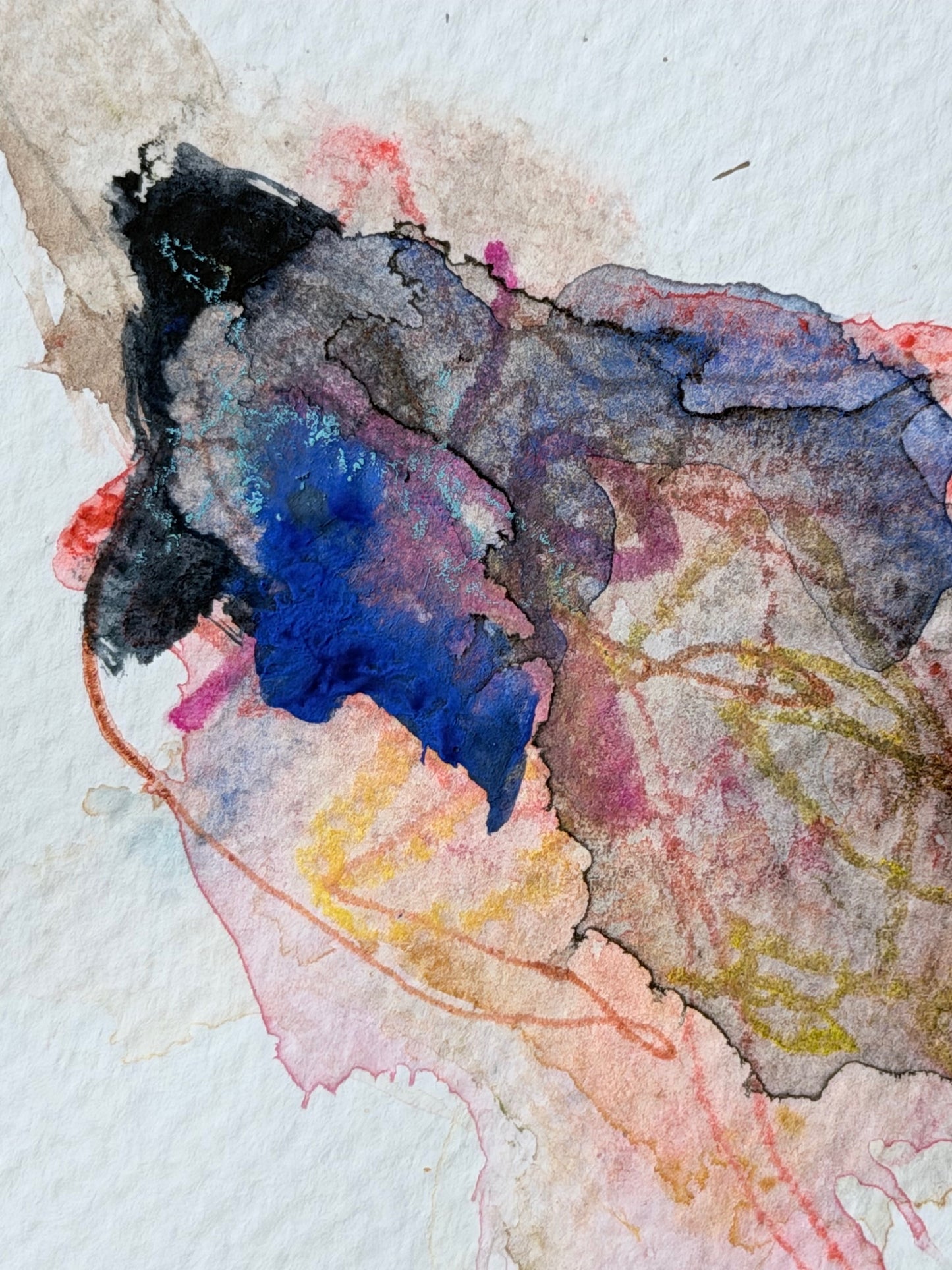 The Language of Flowers: Observation 16