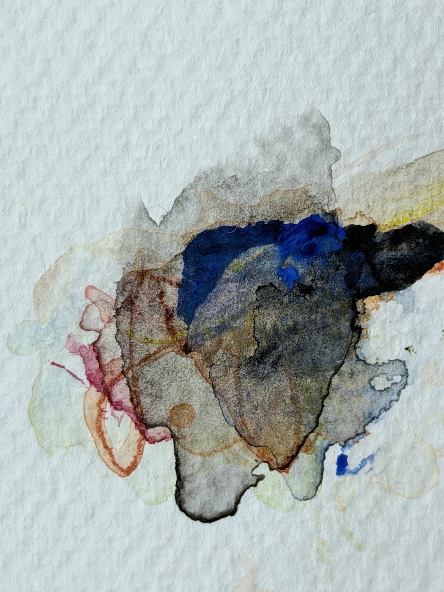 The Language of Flowers: Observation 16