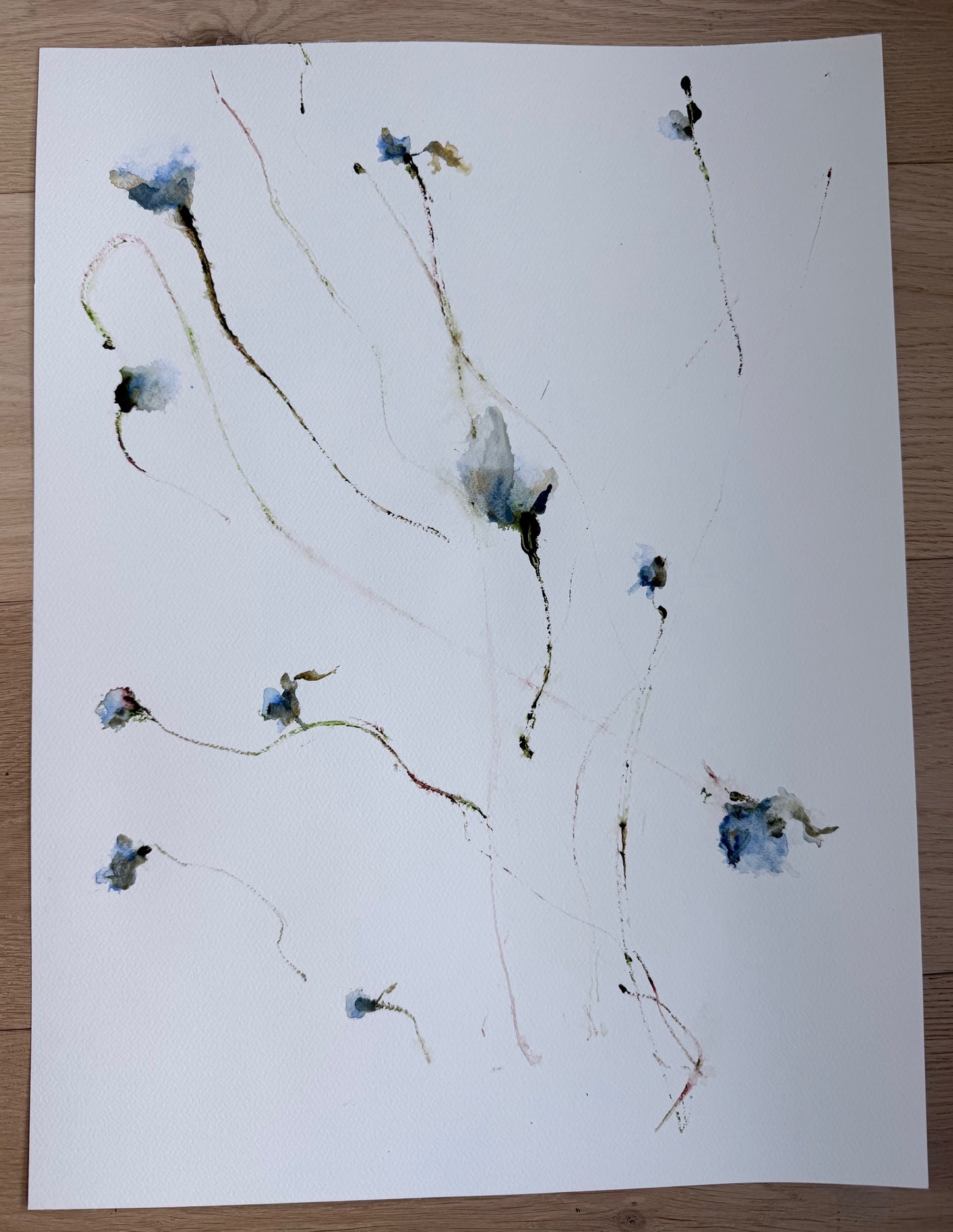 The Language of Flowers: Observation 1