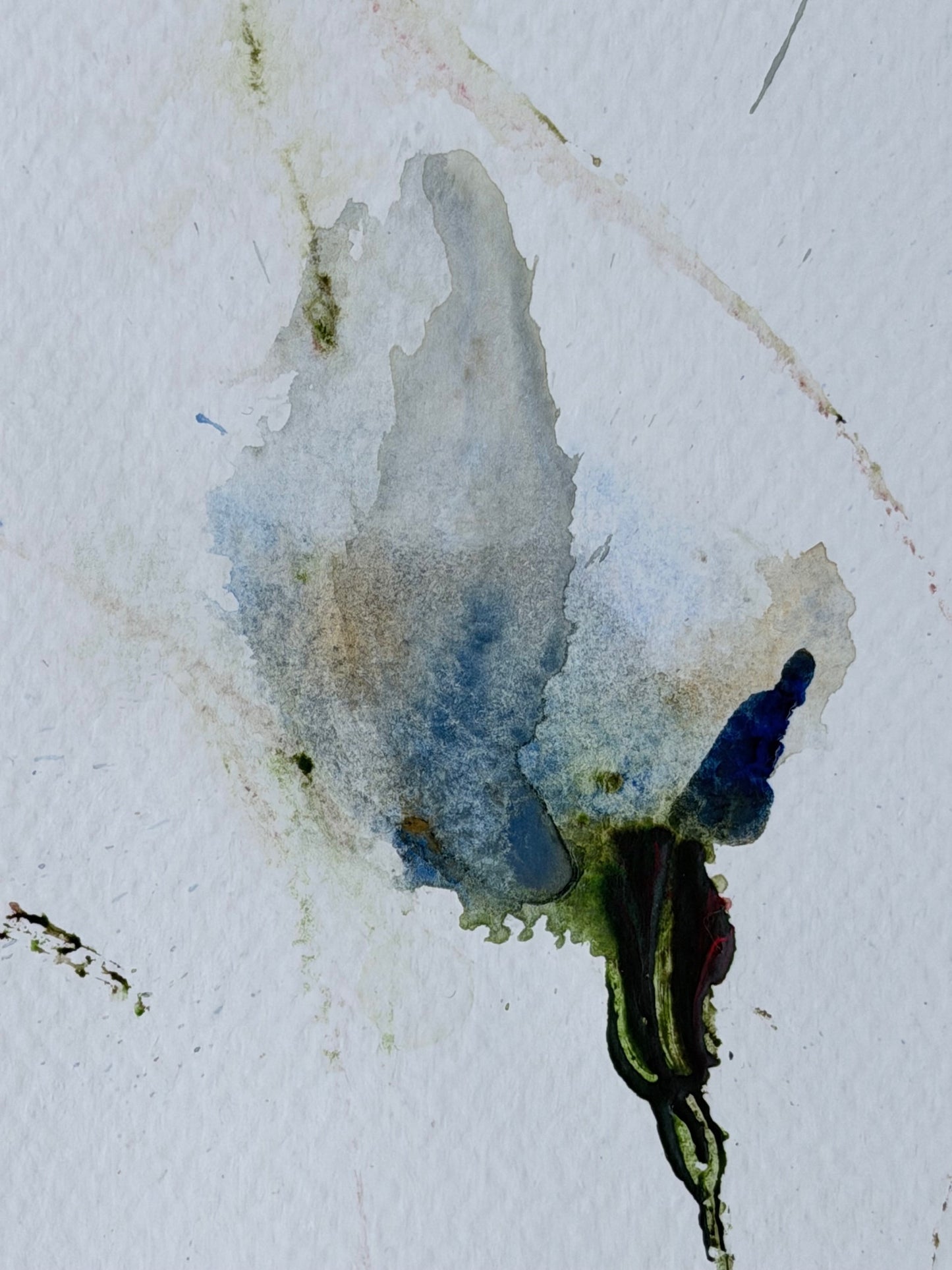 The Language of Flowers: Observation 1