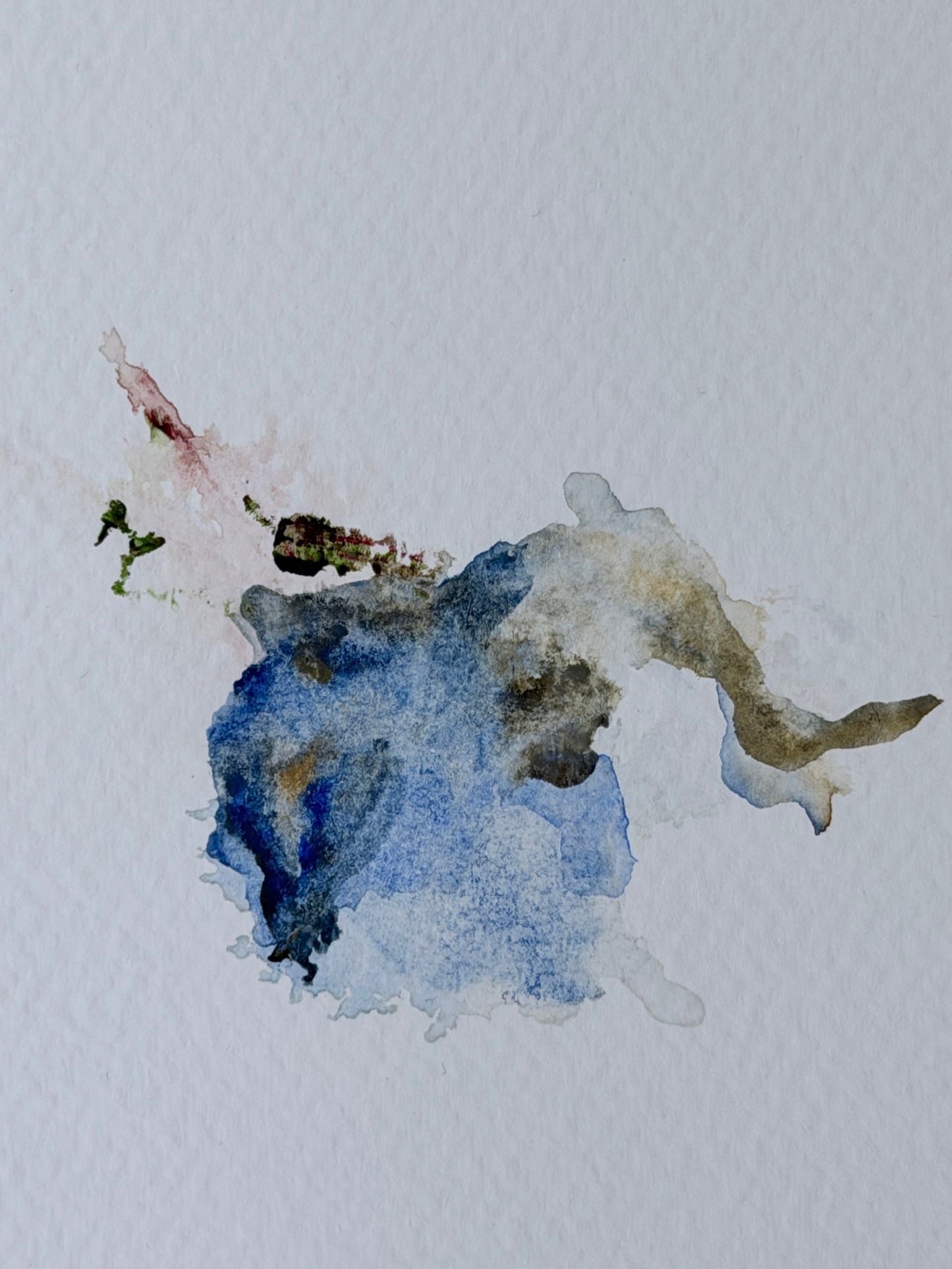 The Language of Flowers: Observation 1