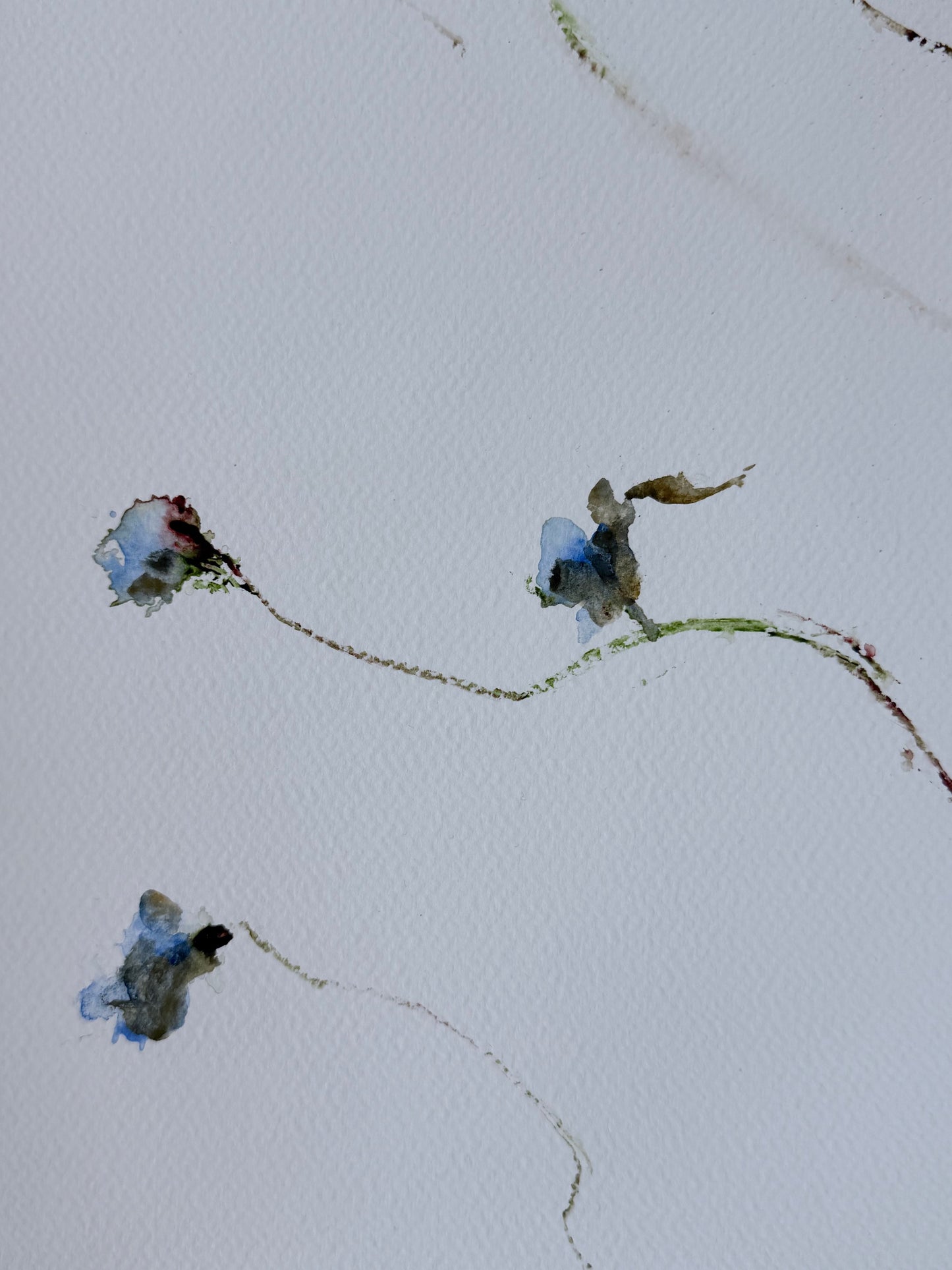 The Language of Flowers: Observation 1