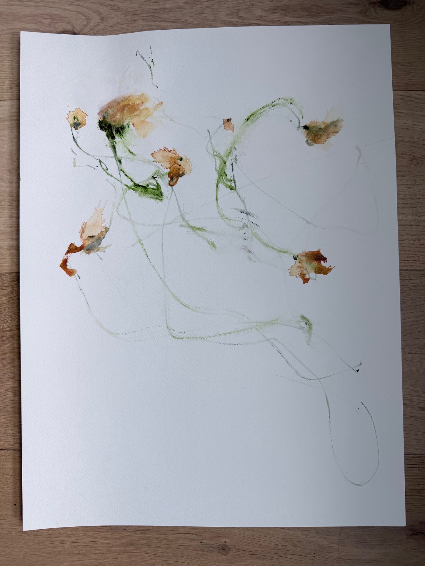 The Language of Flowers: Observation 4