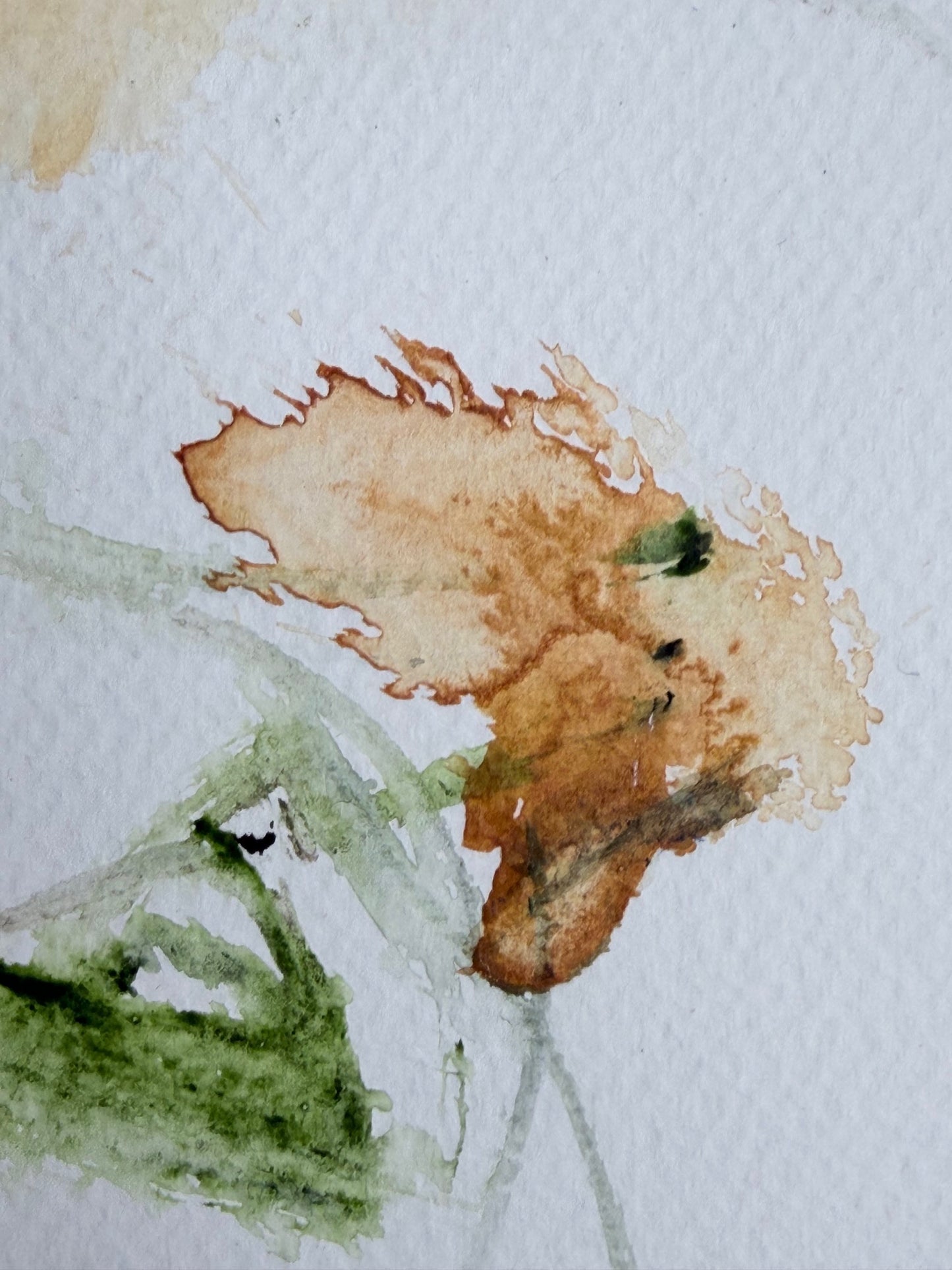 The Language of Flowers: Observation 4