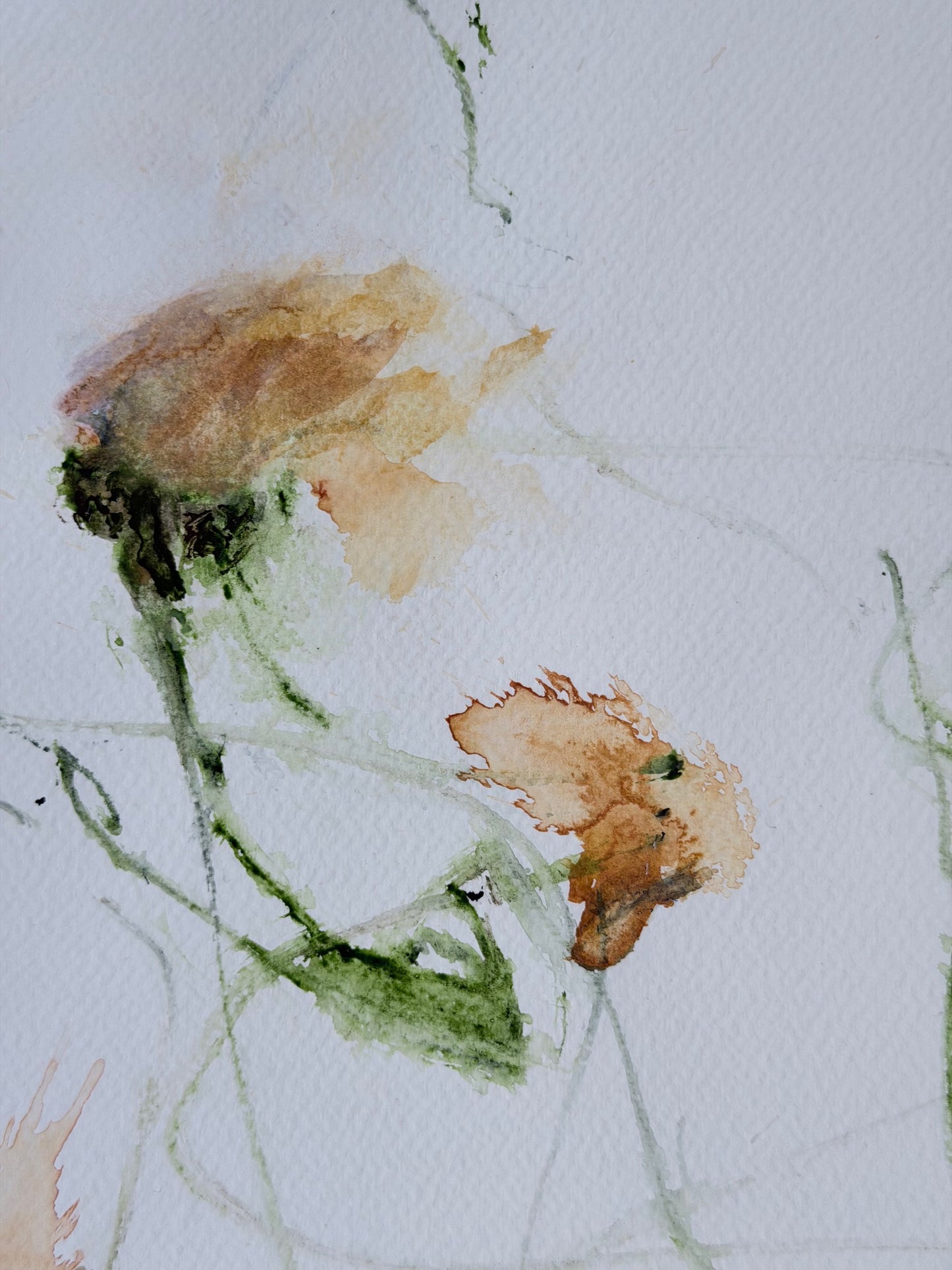 The Language of Flowers: Observation 4