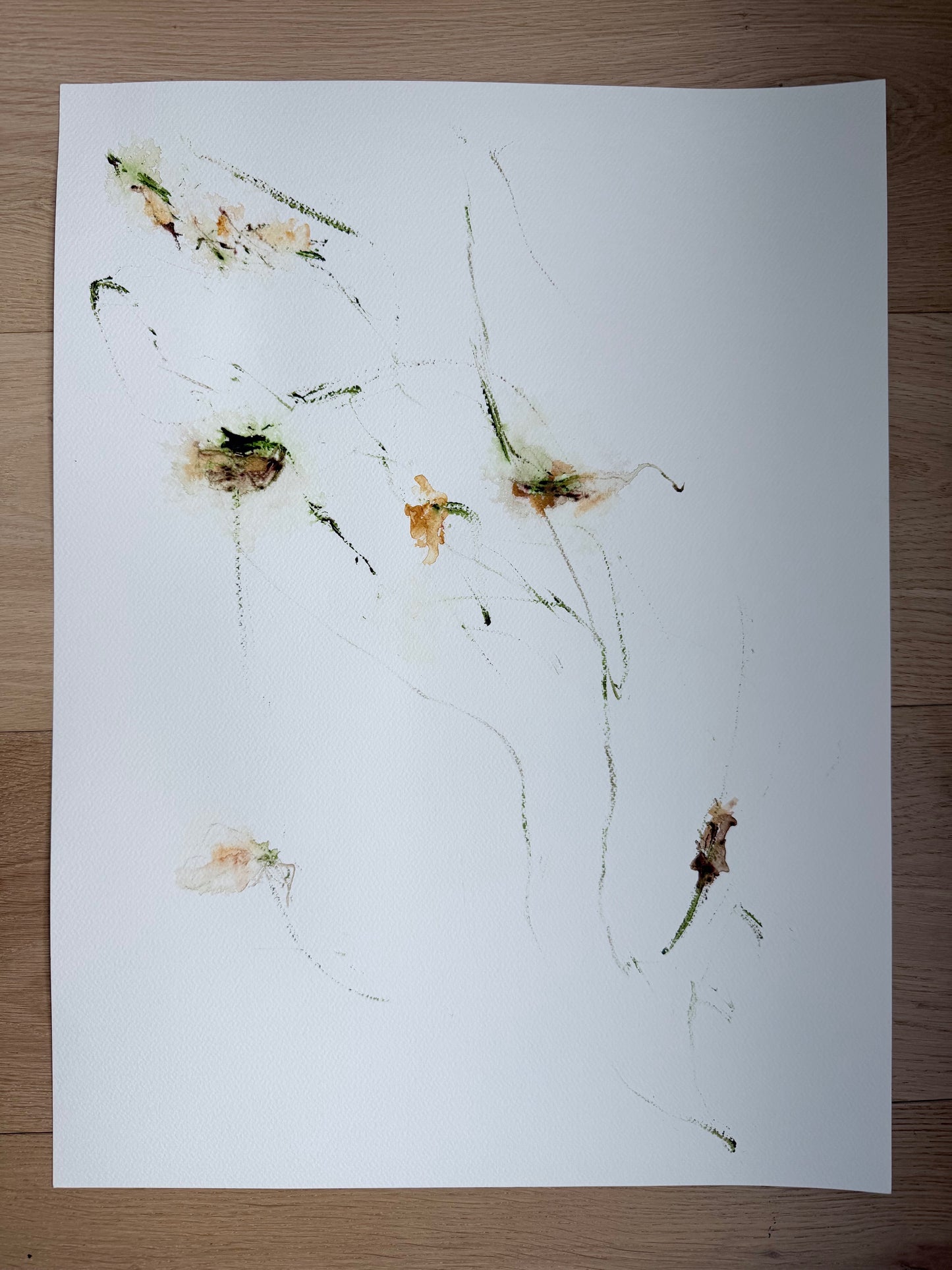 The Language of Flowers: Observation 2