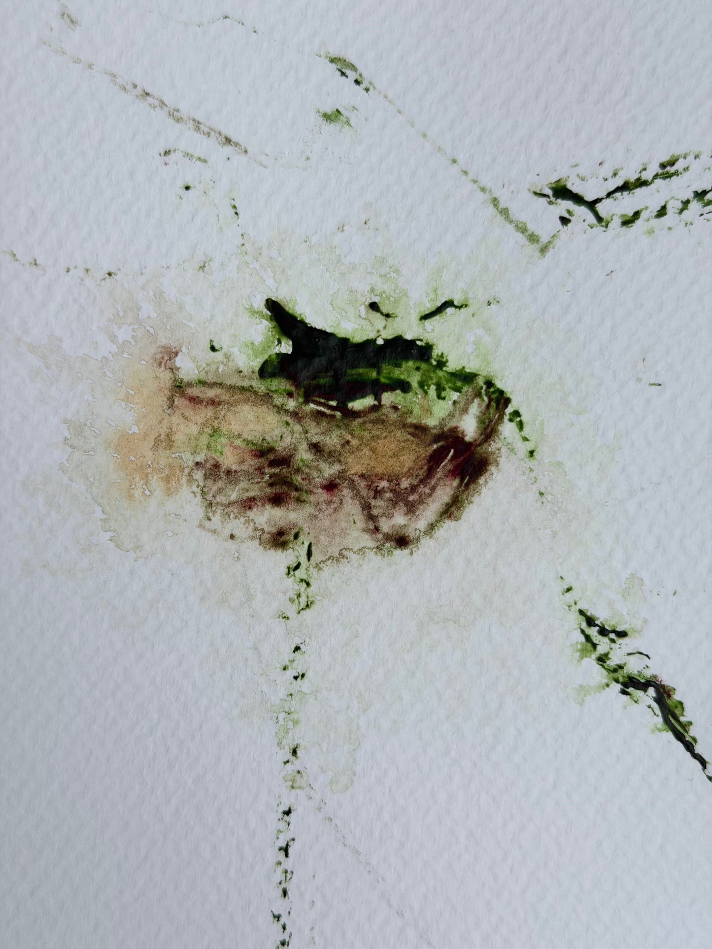 The Language of Flowers: Observation 2