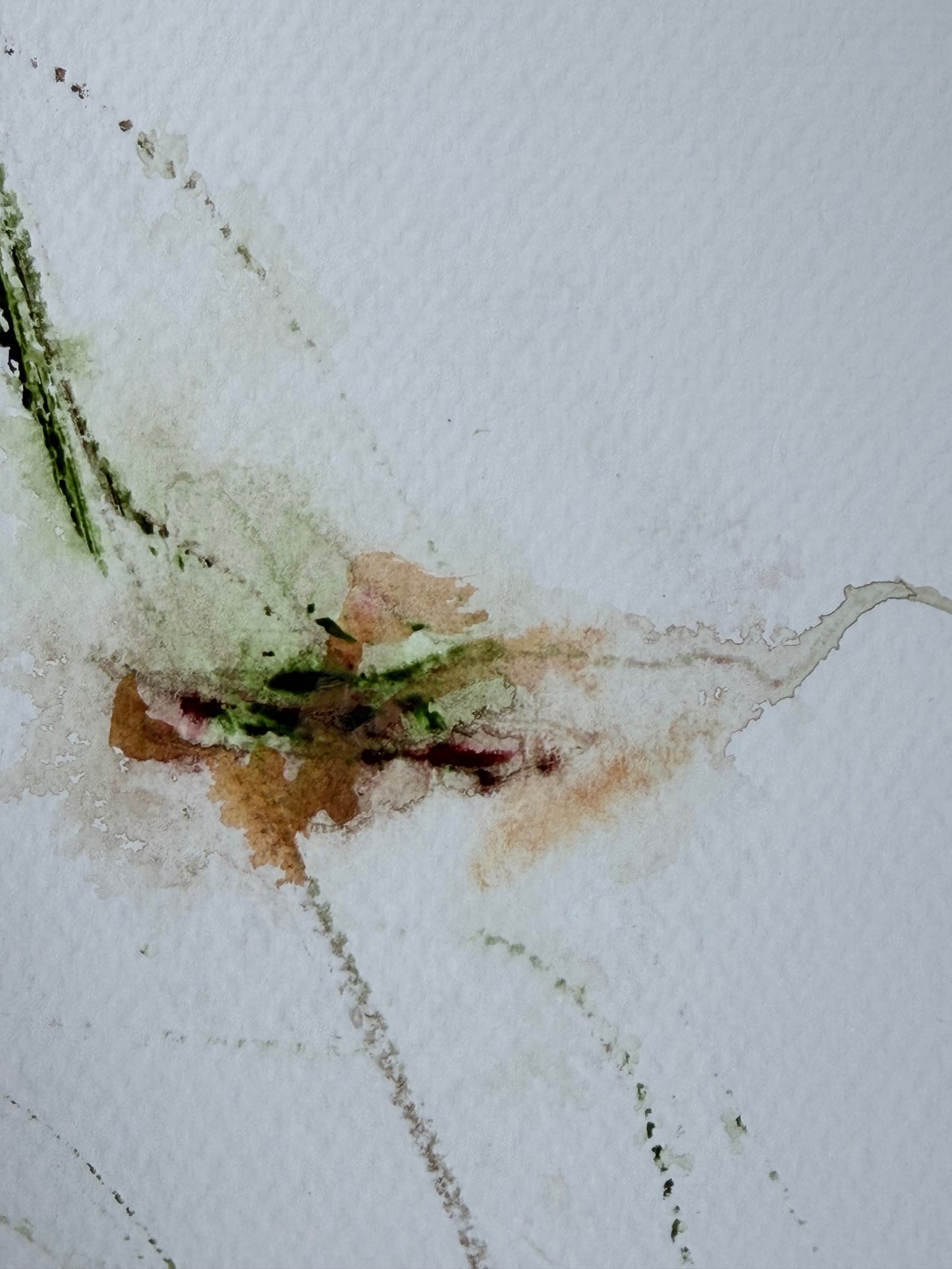 The Language of Flowers: Observation 2