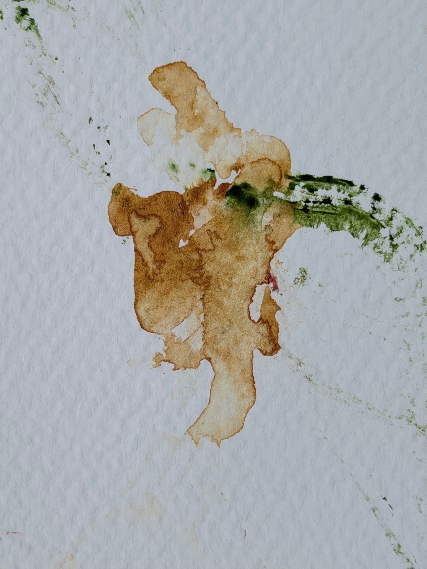 The Language of Flowers: Observation 2