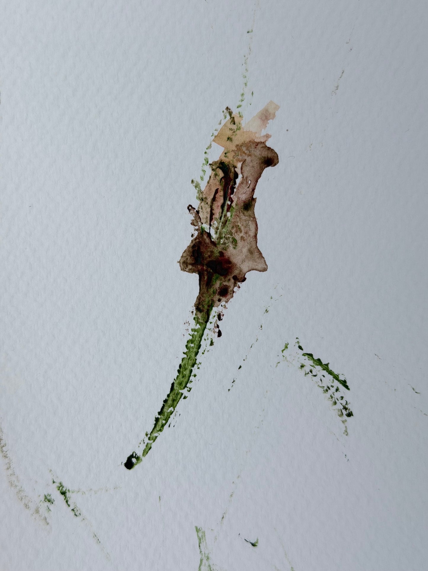 The Language of Flowers: Observation 2