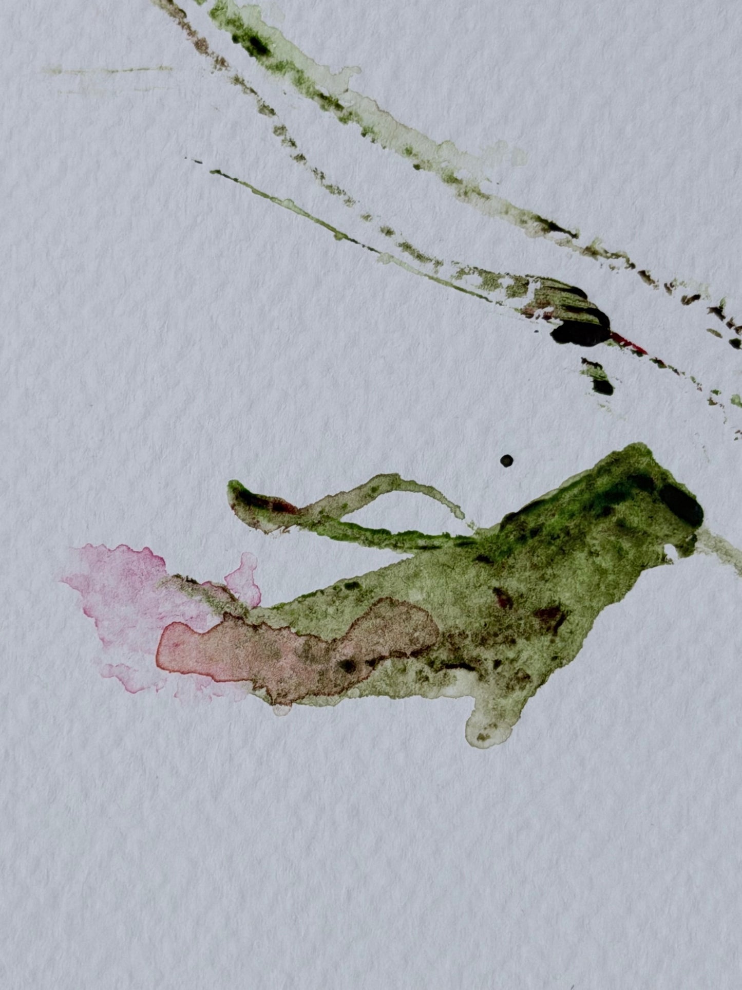 The Language of Flowers: Observation 3