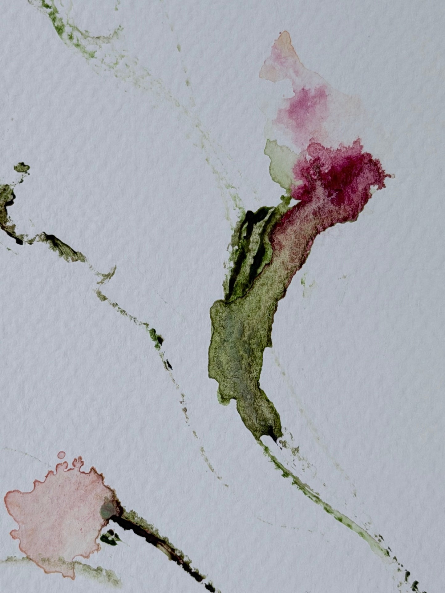 The Language of Flowers: Observation 3