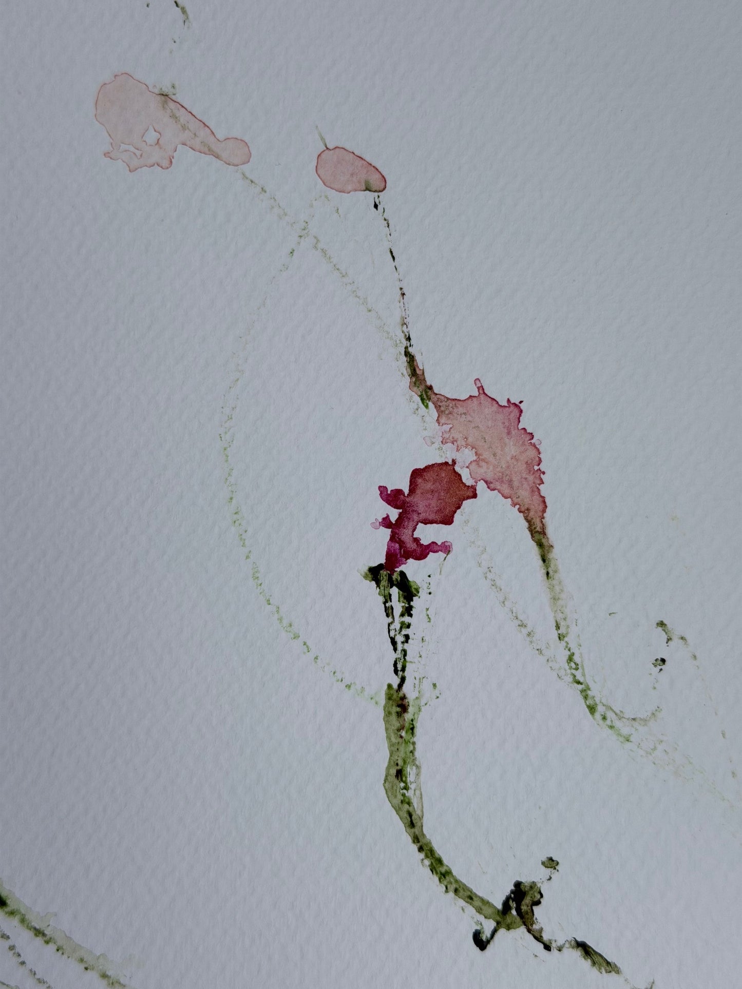 The Language of Flowers: Observation 3