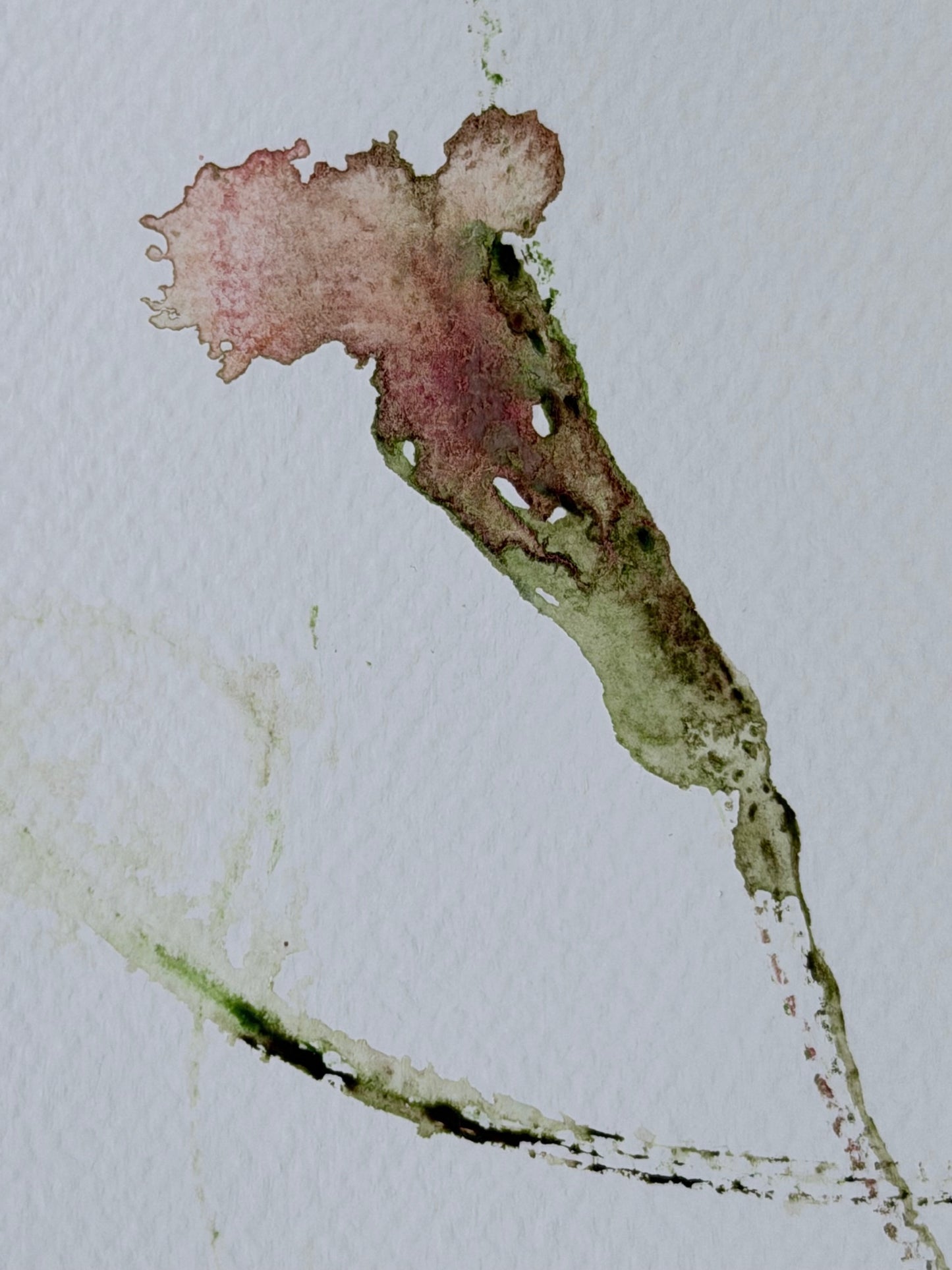 The Language of Flowers: Observation 3