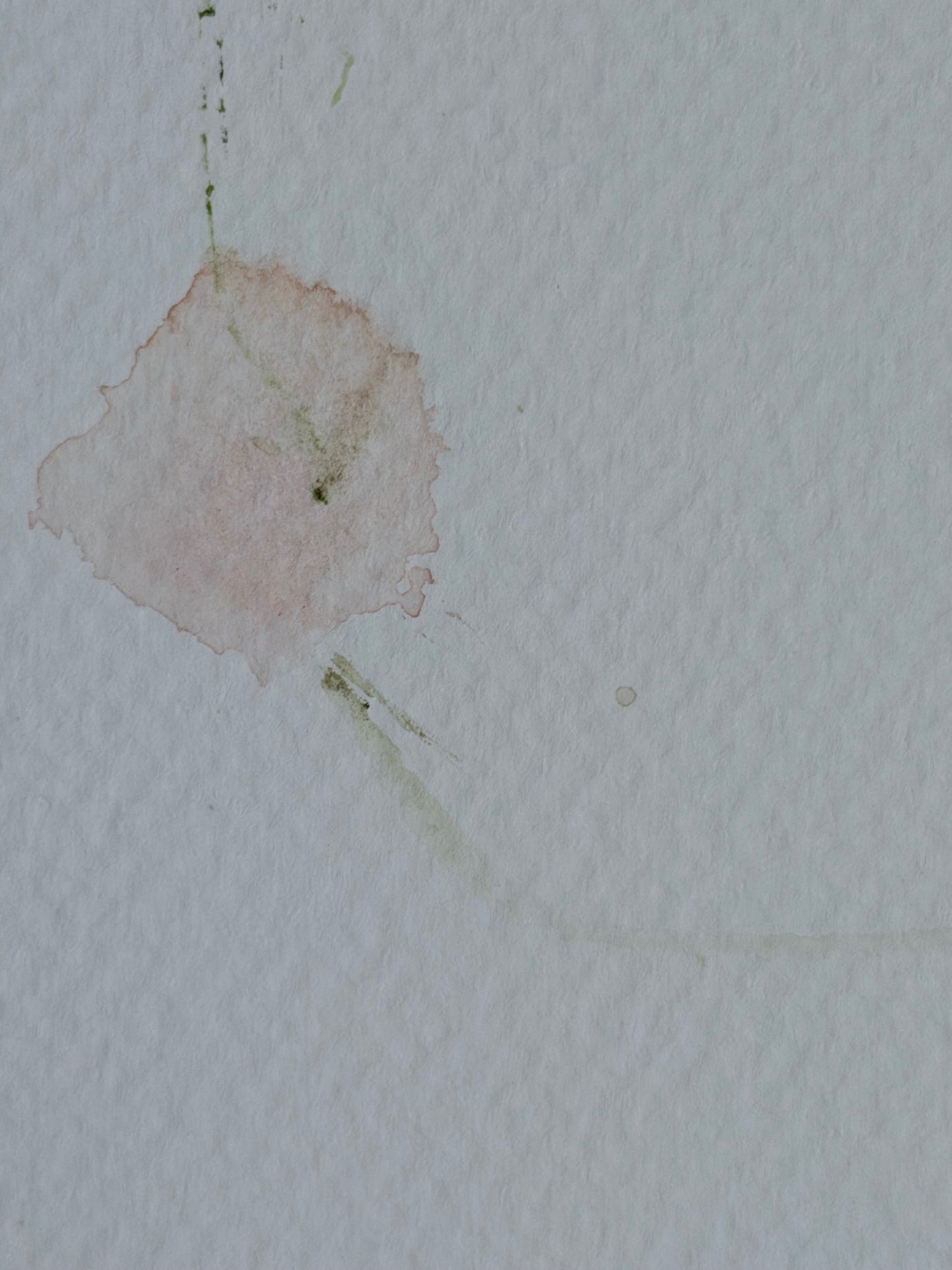 The Language of Flowers: Observation 3