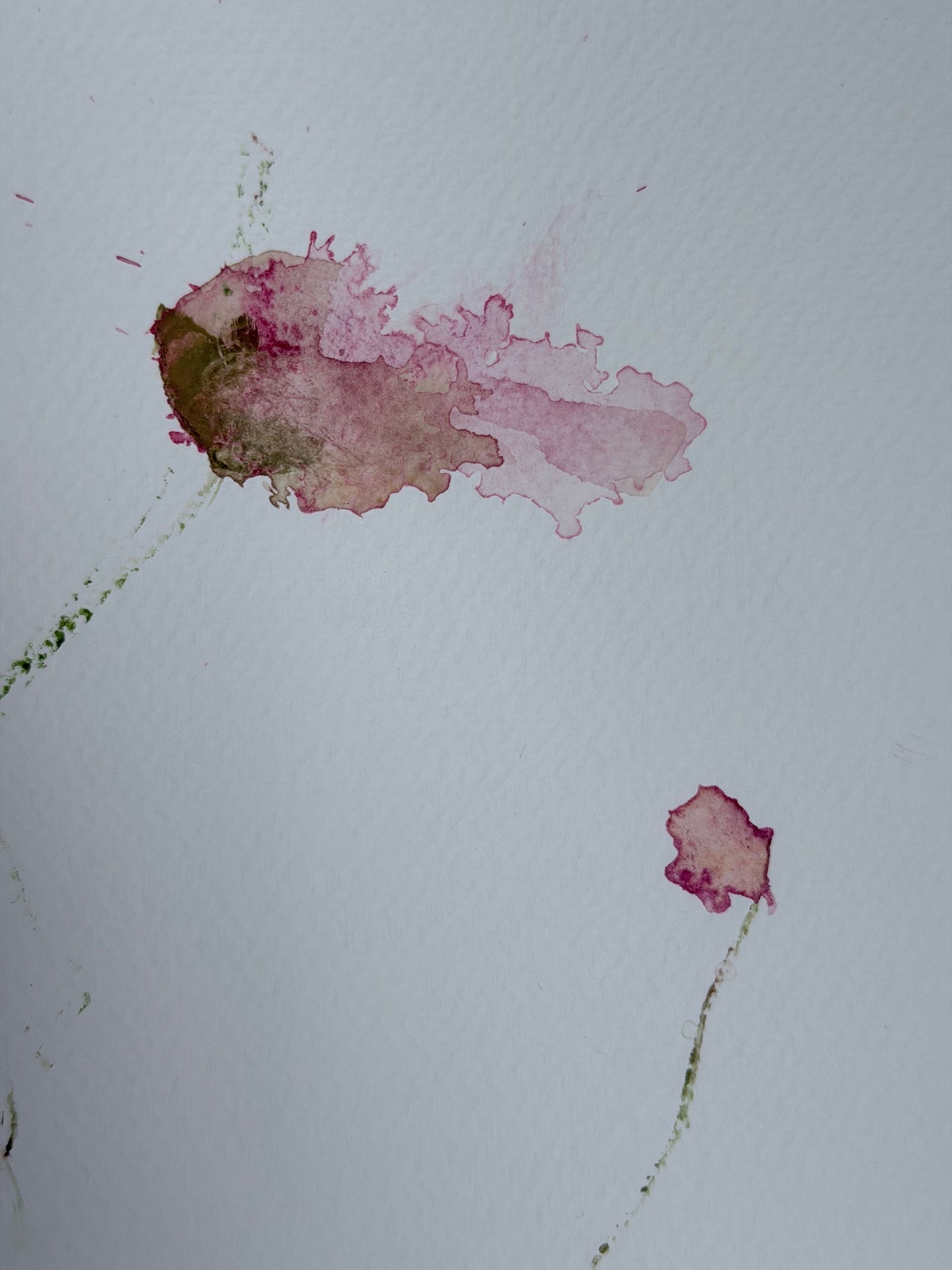 The Language of Flowers: Observation 3