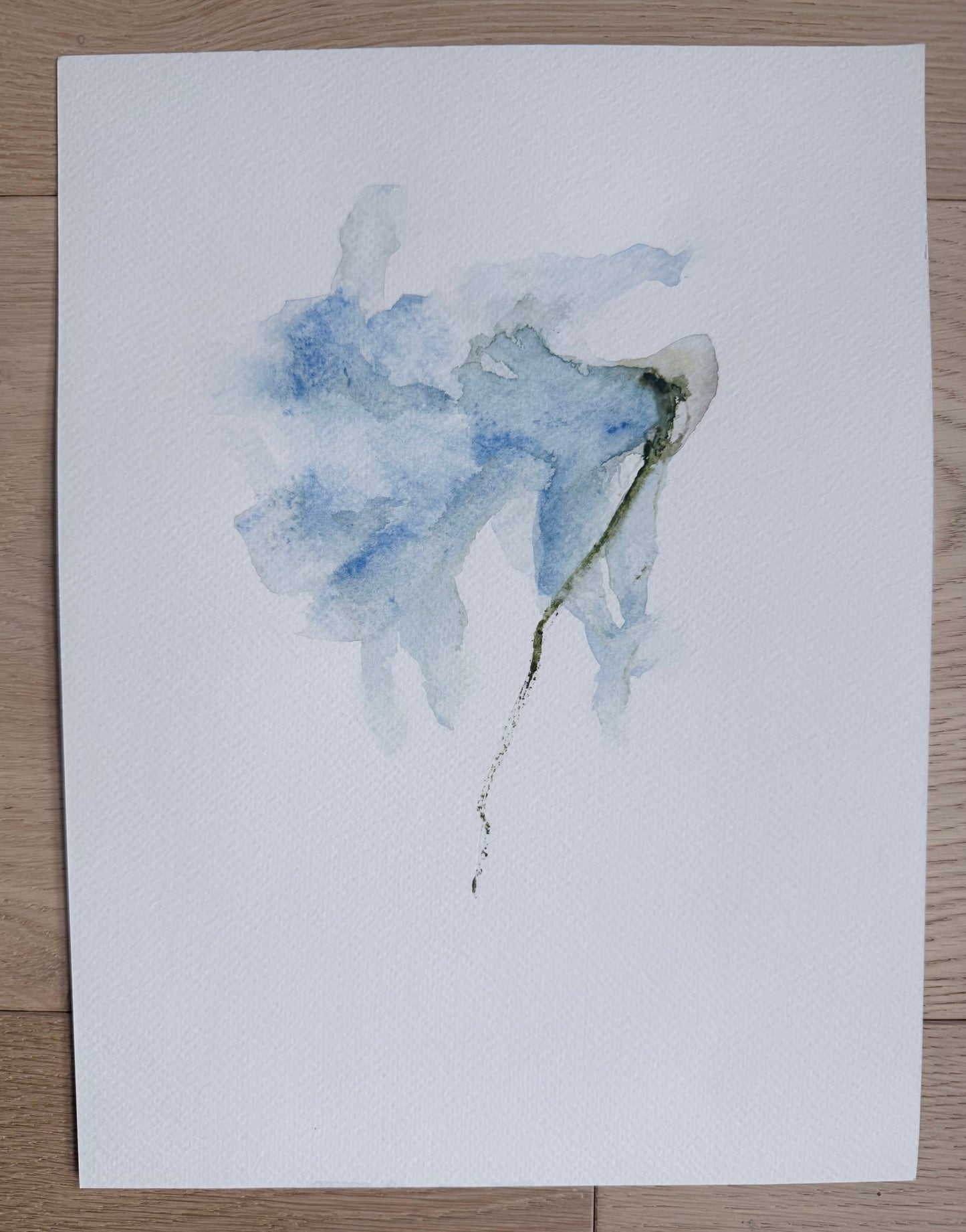 The Language of Flowers: Observation 13