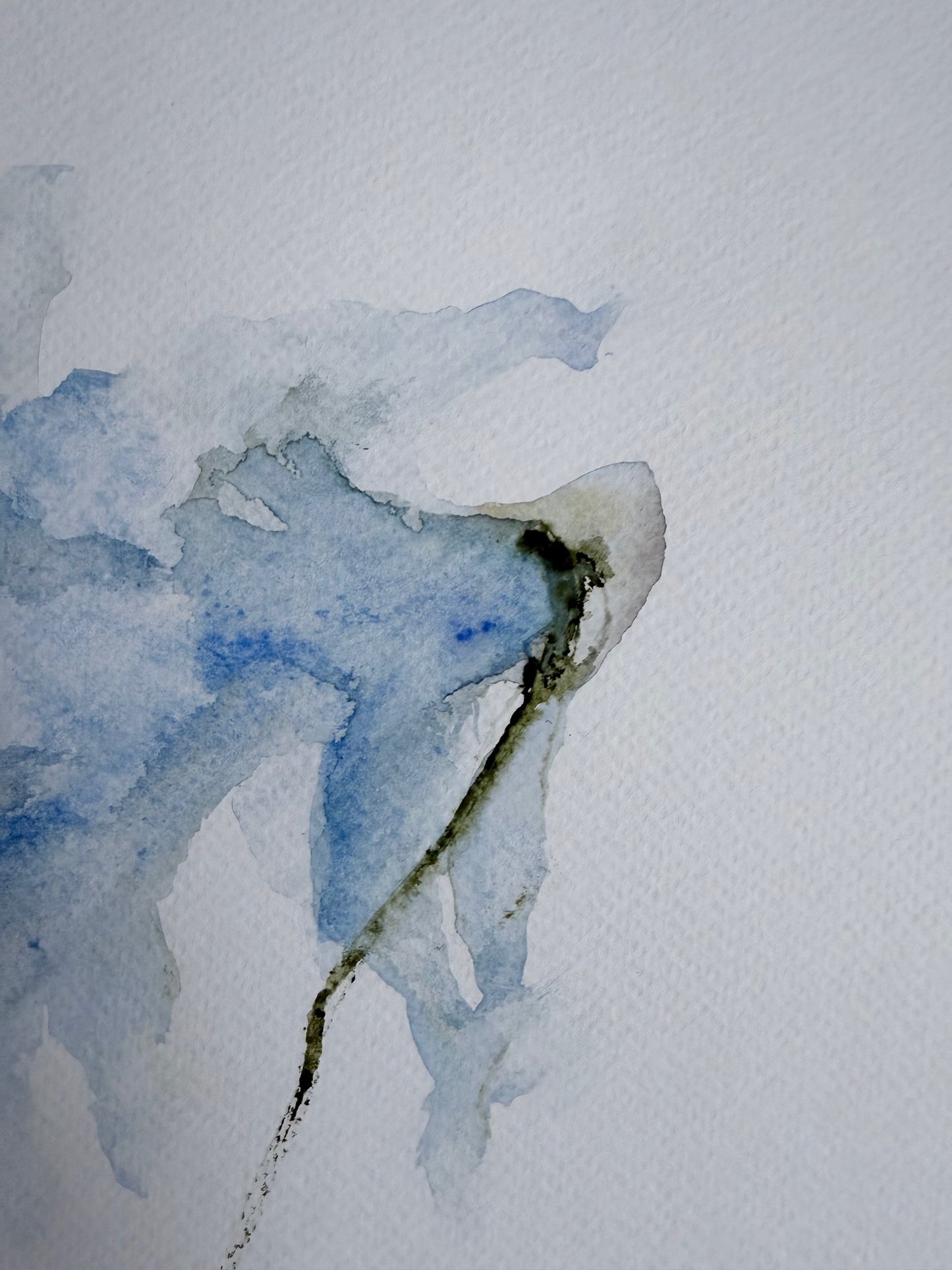 The Language of Flowers: Observation 13