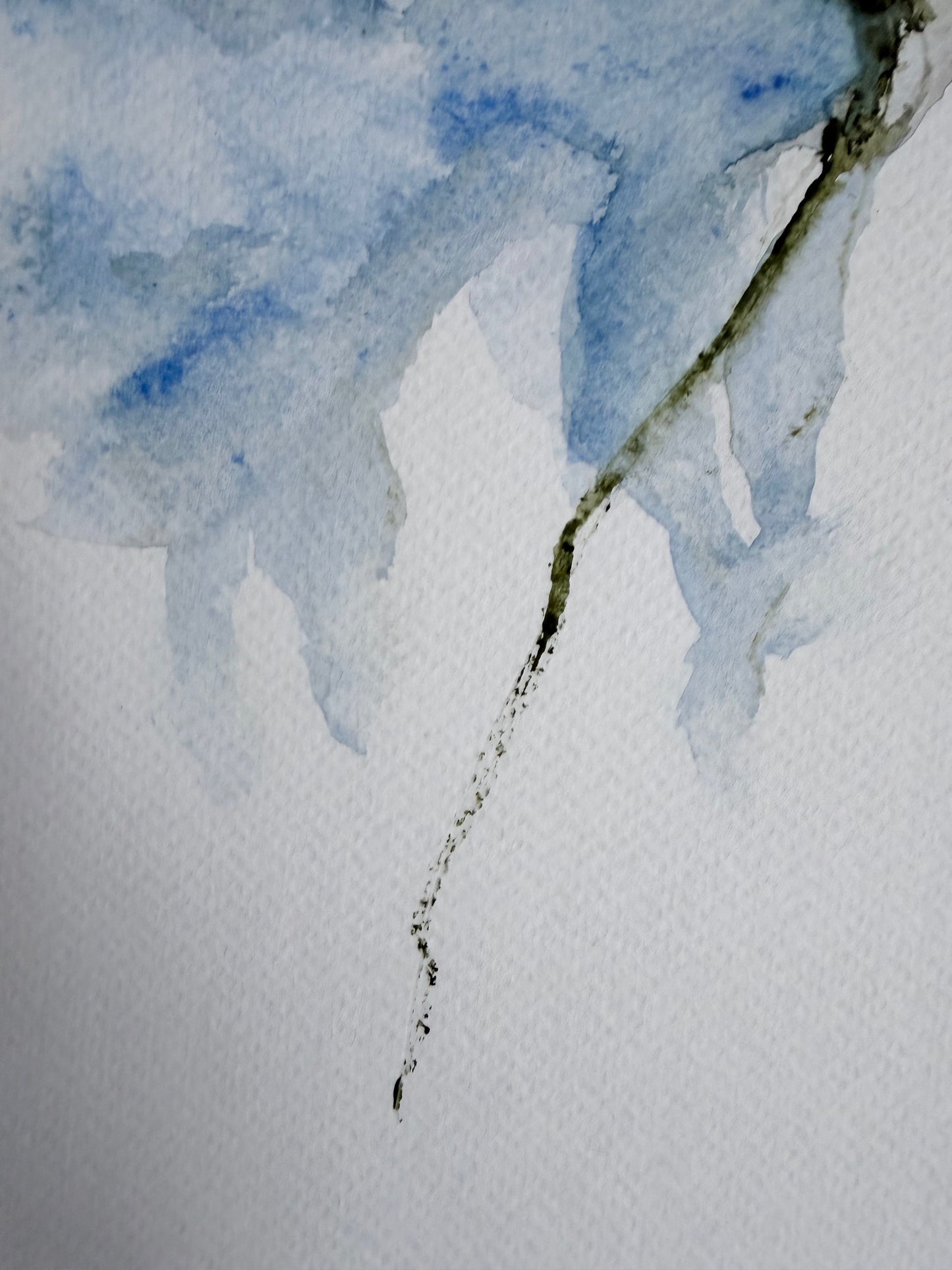 The Language of Flowers: Observation 13