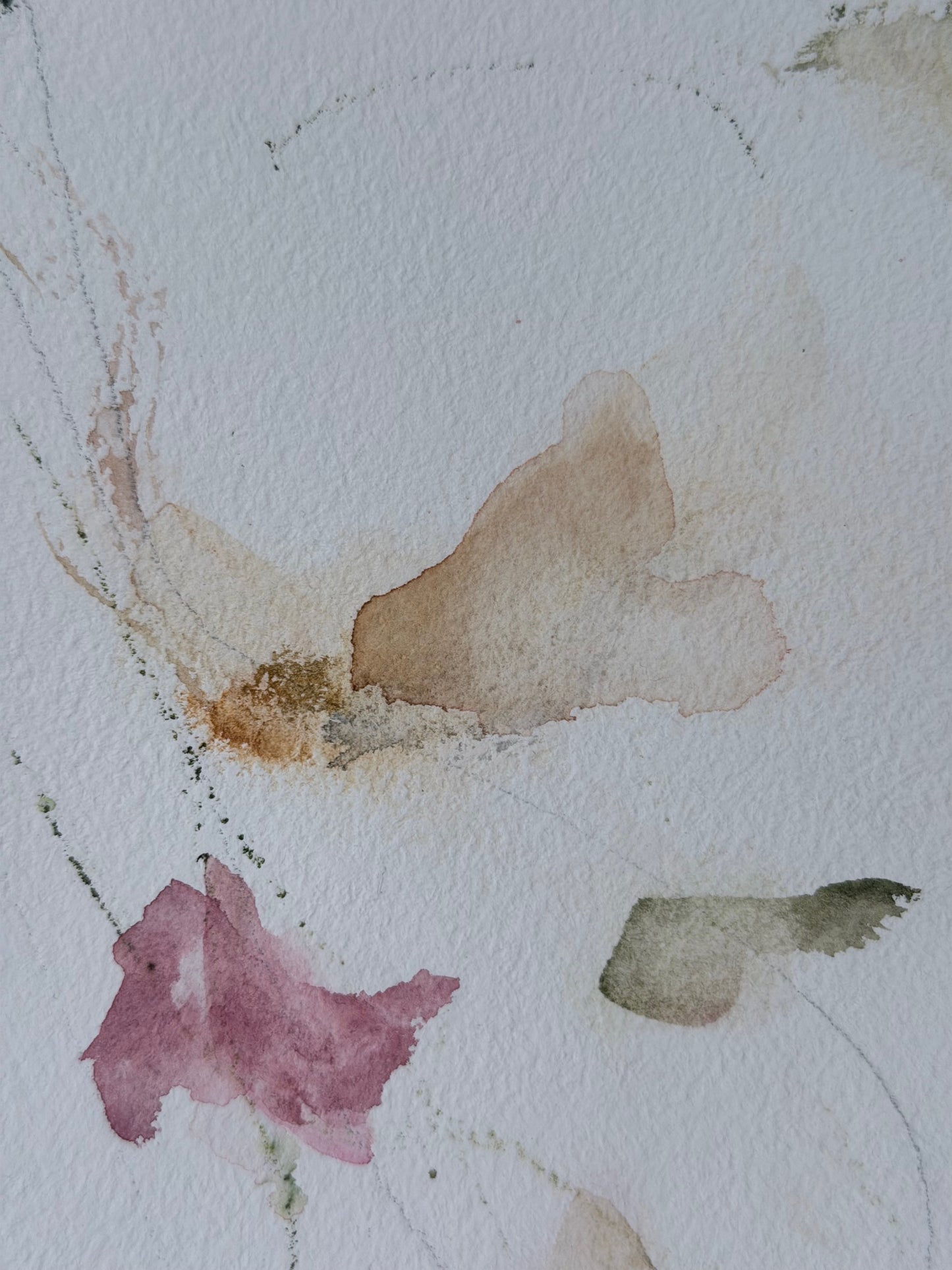 The Language of Flowers: Observation 8
