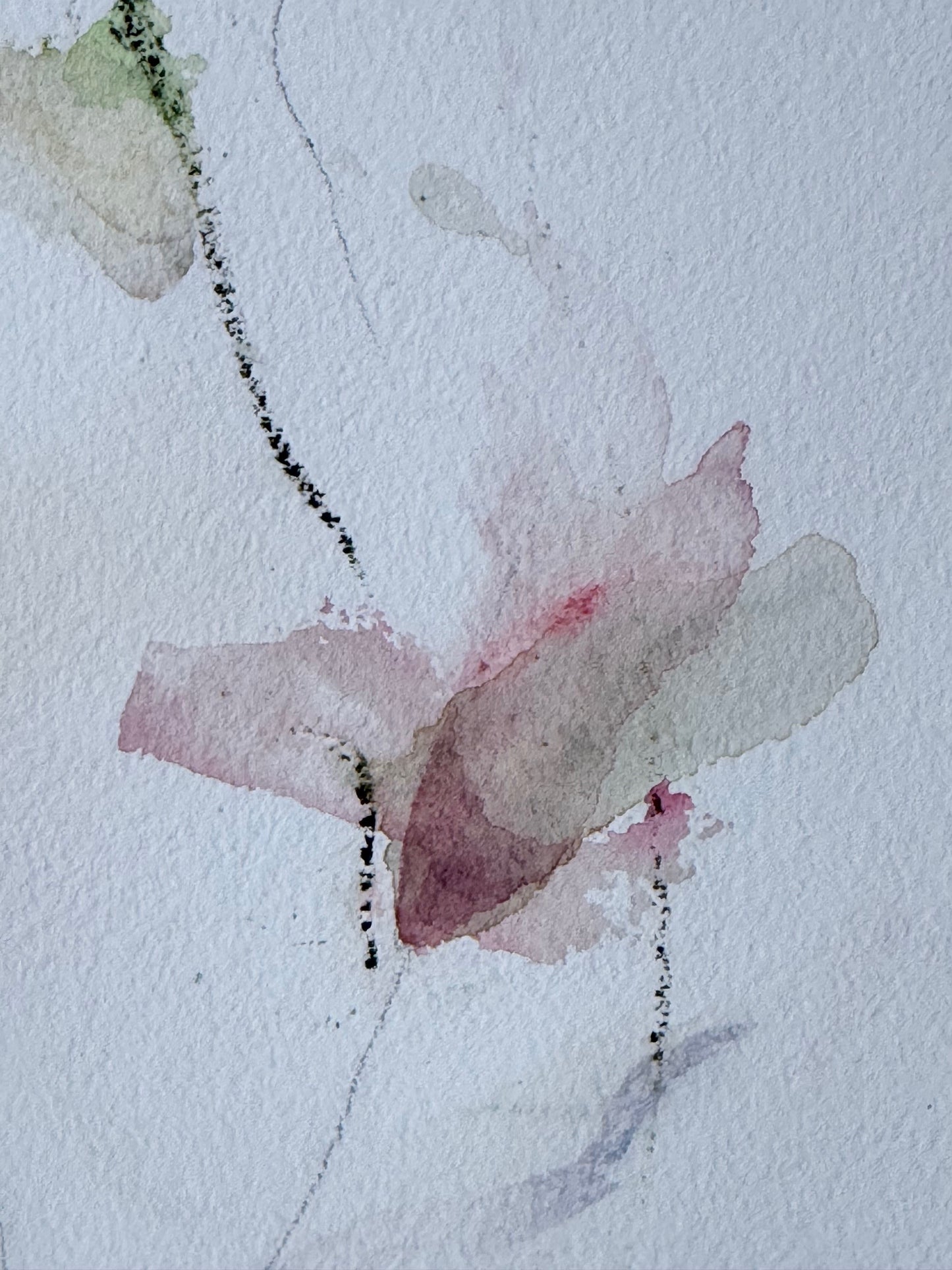 The Language of Flowers: Observation 8