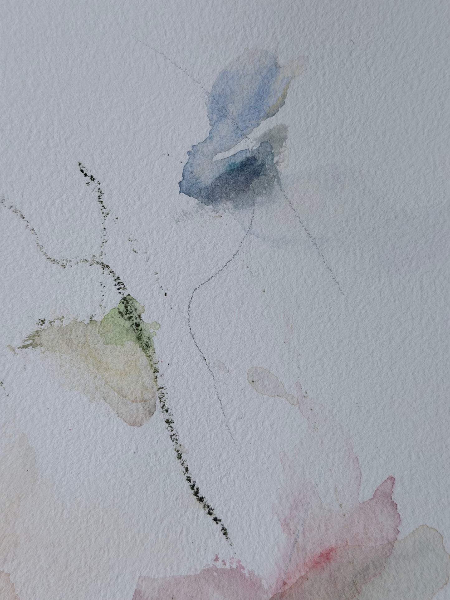 The Language of Flowers: Observation 8