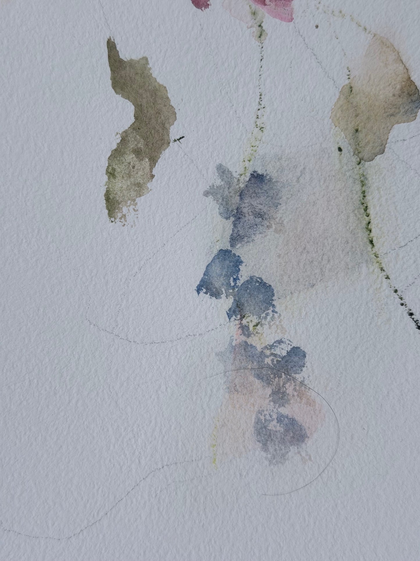 The Language of Flowers: Observation 8