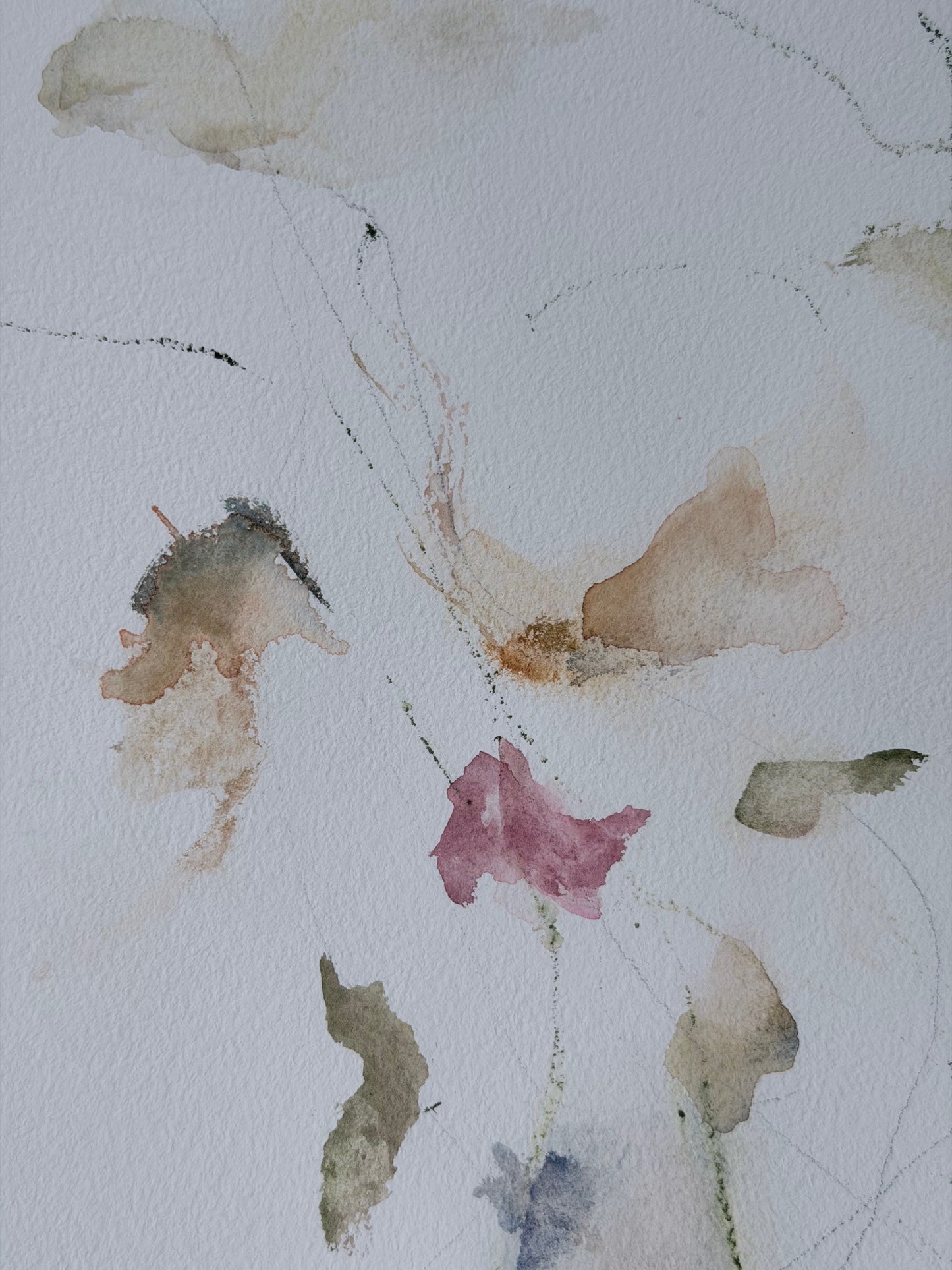 The Language of Flowers: Observation 8