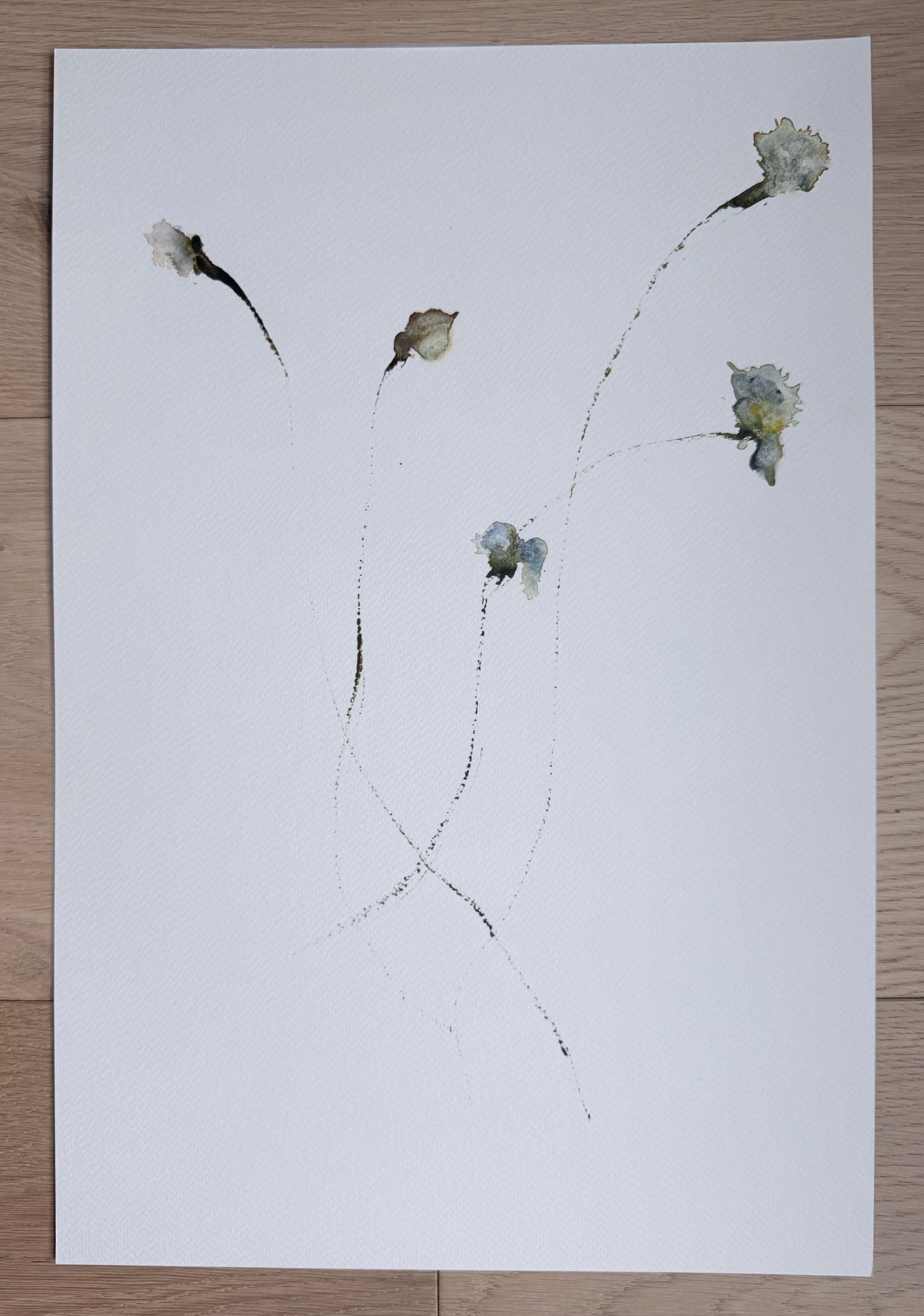 The Language of Flowers: Observation 10
