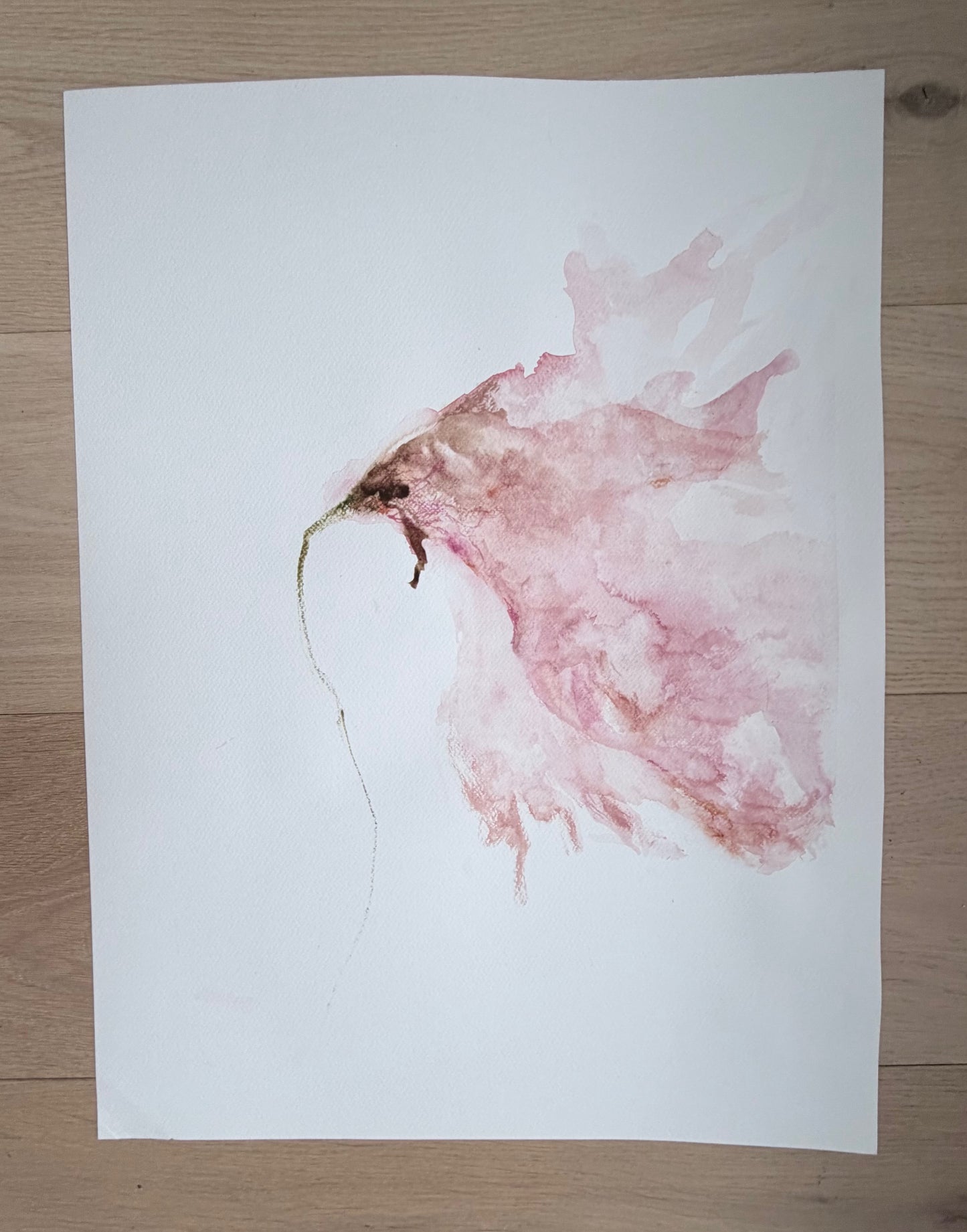 The Language of Flowers: Observation 5