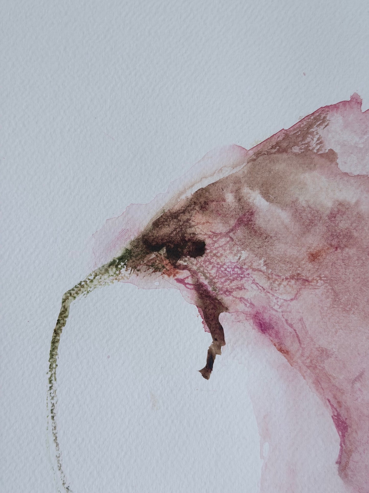 The Language of Flowers: Observation 5
