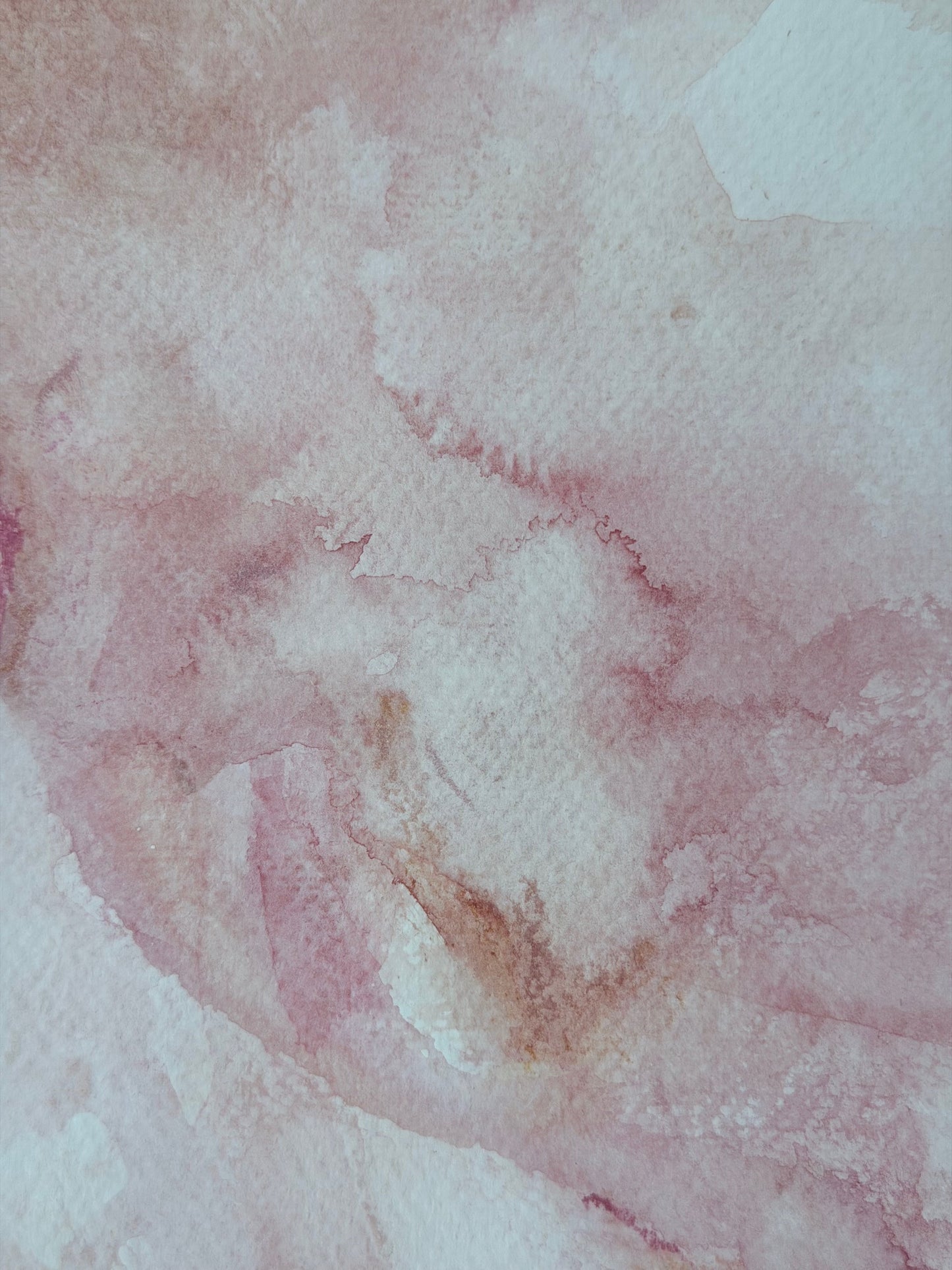 The Language of Flowers: Observation 5