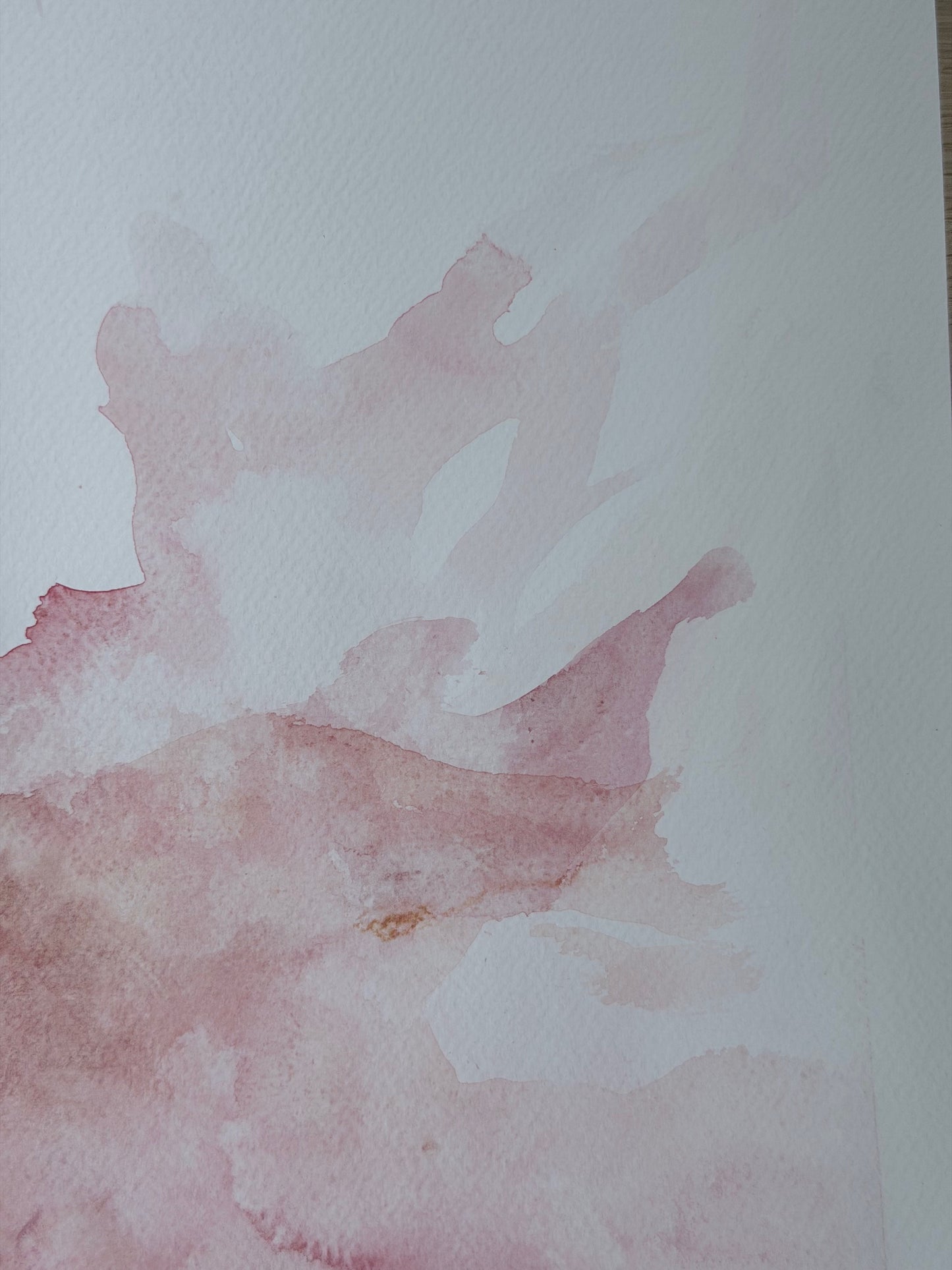 The Language of Flowers: Observation 5