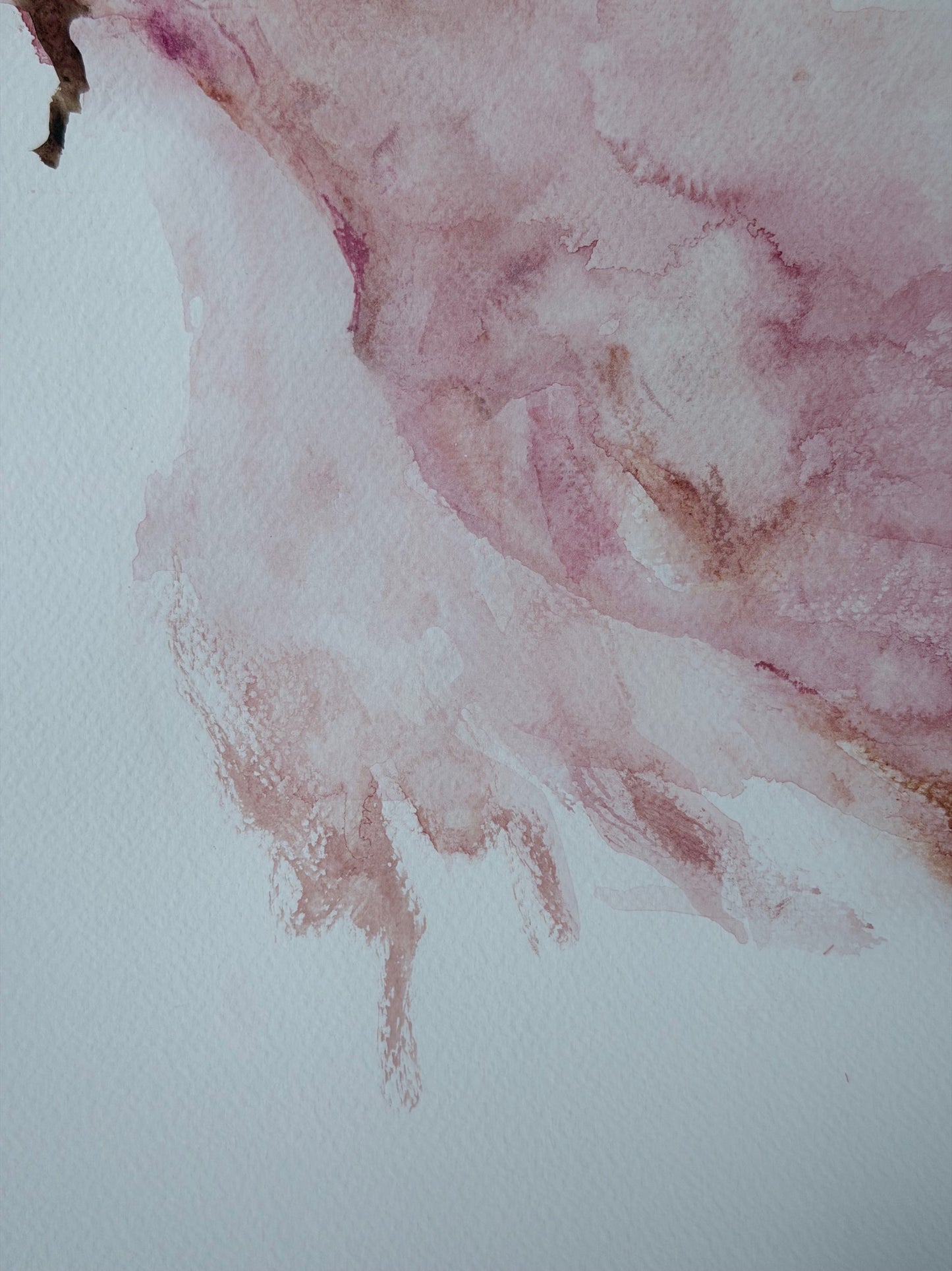 The Language of Flowers: Observation 5