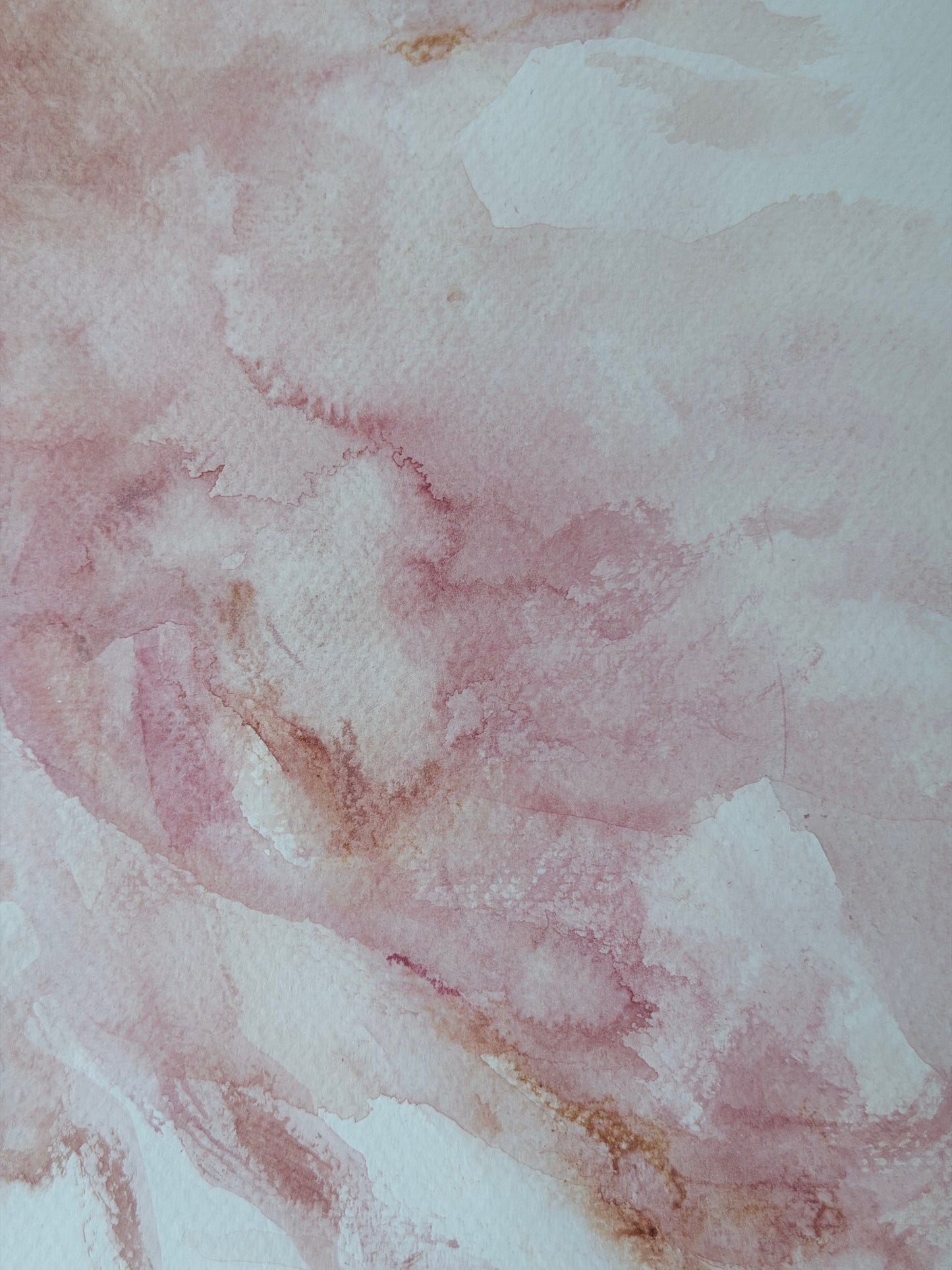 The Language of Flowers: Observation 5