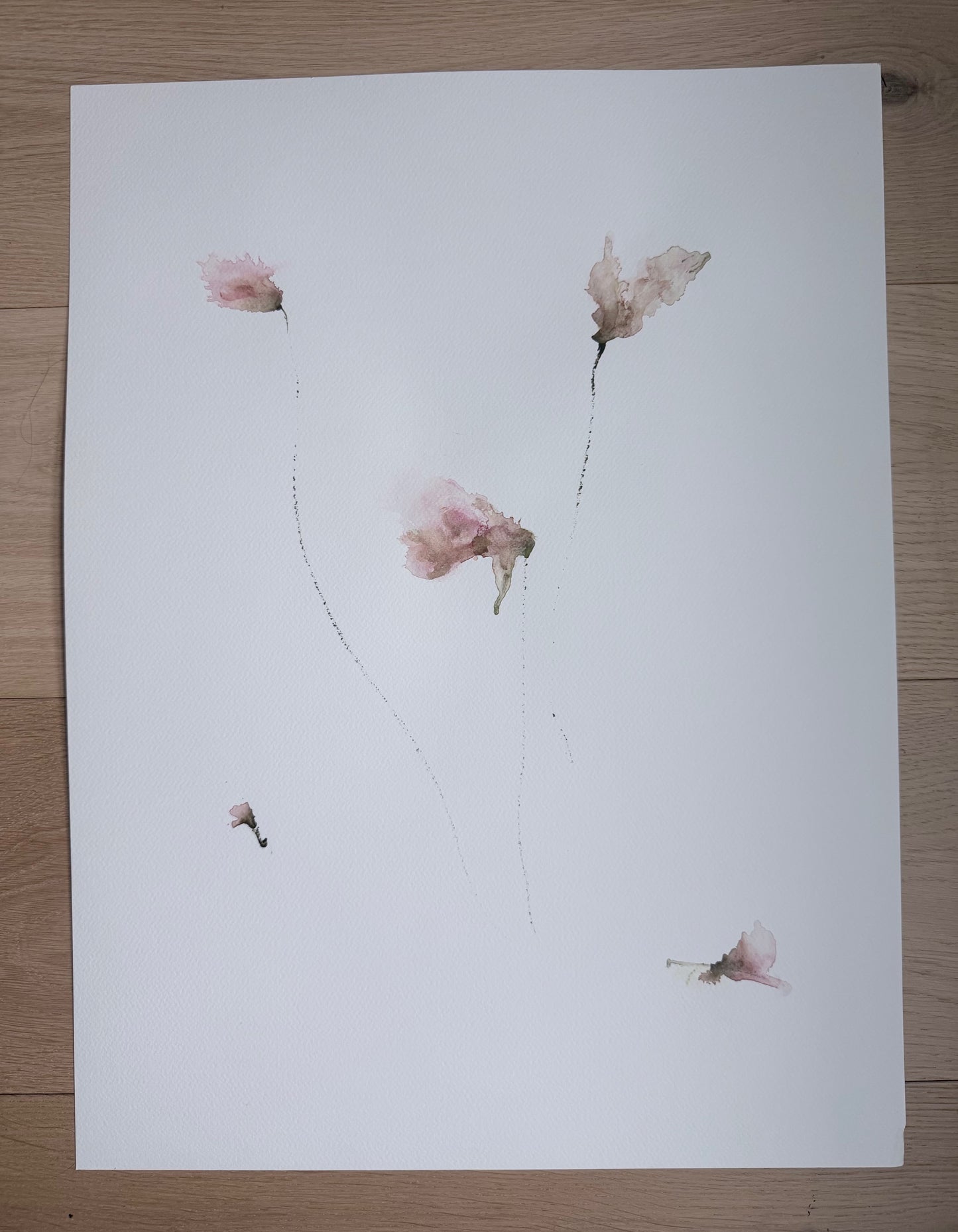The Language of Flowers: Observation 6